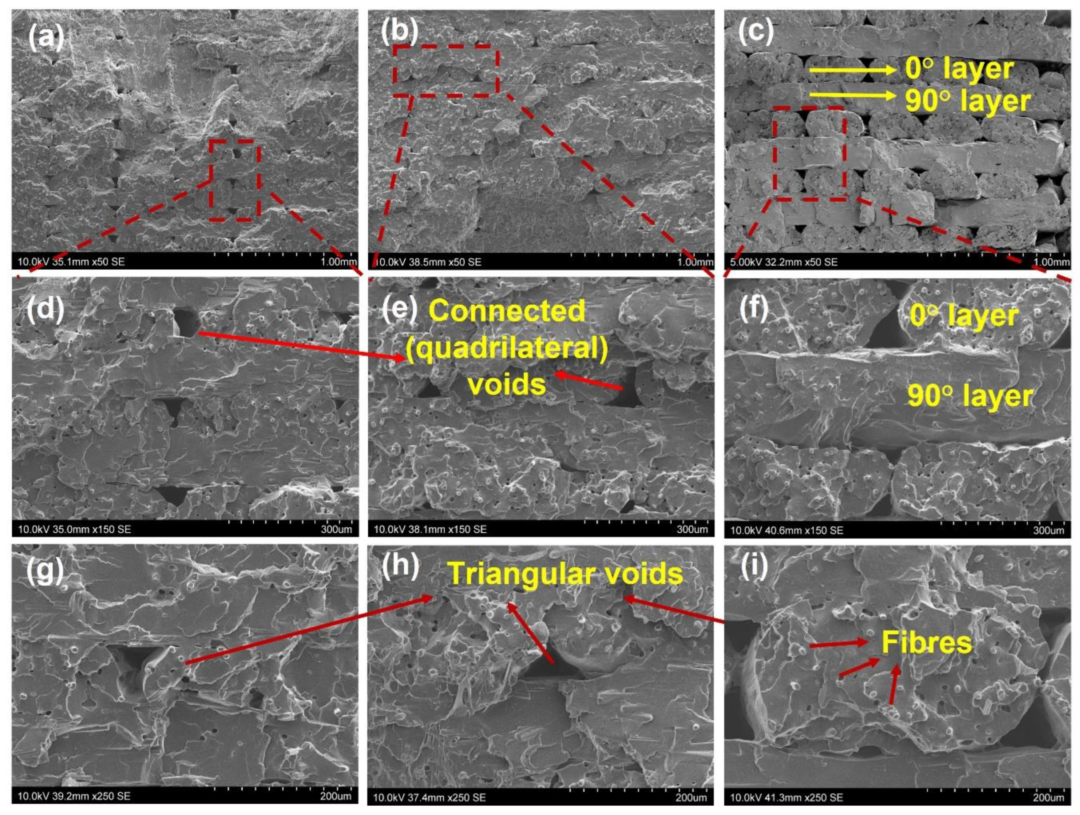Polymers 15 00773 g004
