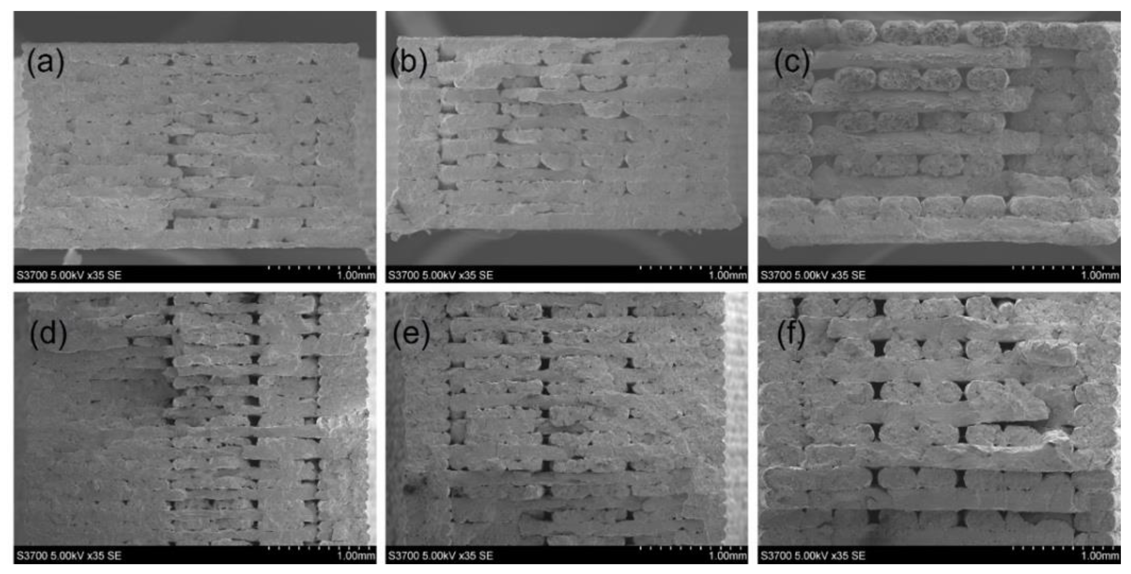 Polymers 15 00773 g005