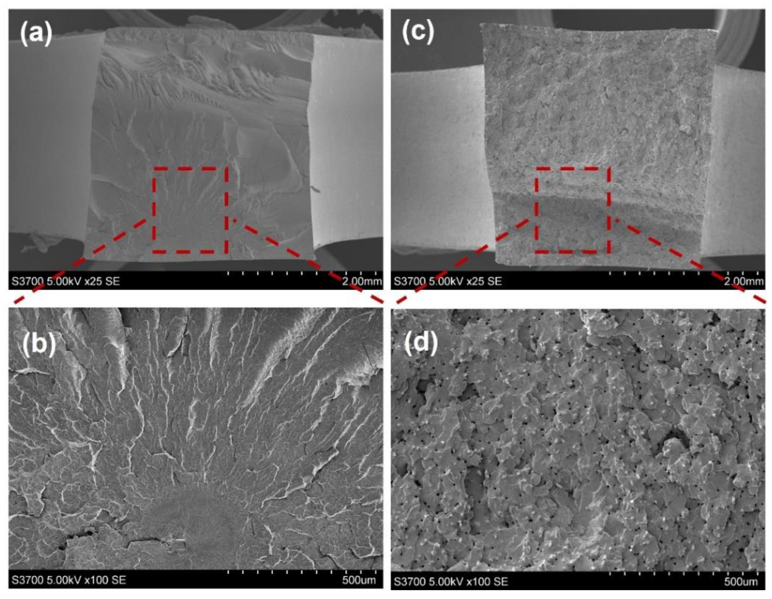 Polymers 15 00773 g006