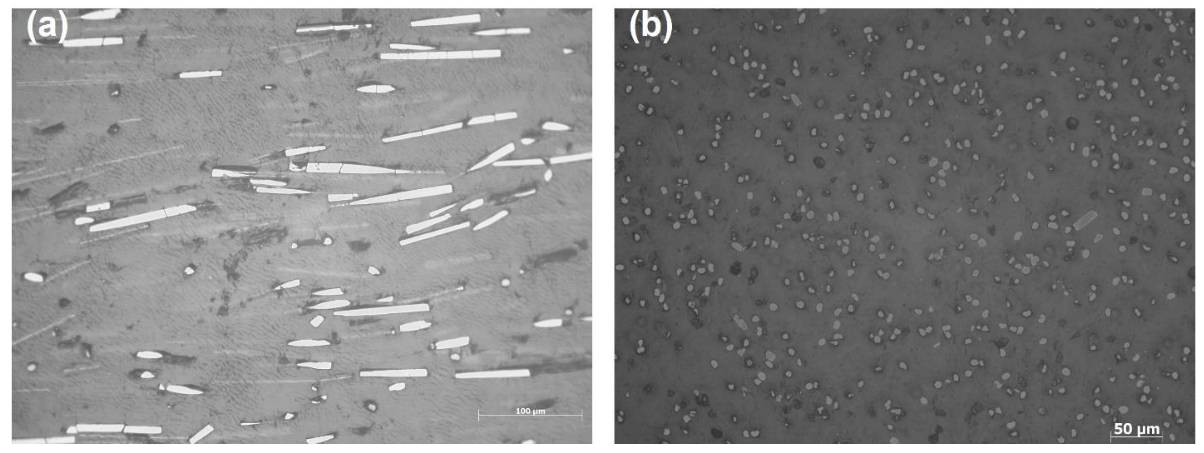Polymers 15 00773 g008