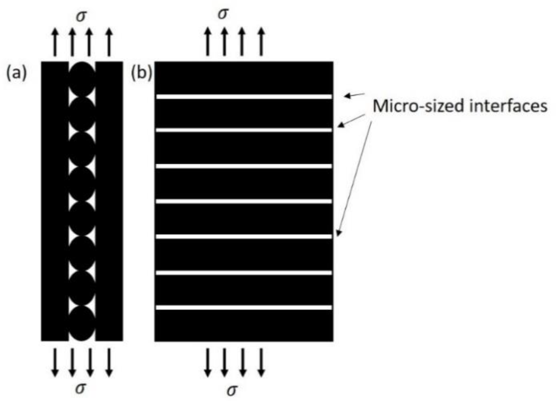Polymers 15 00773 g009