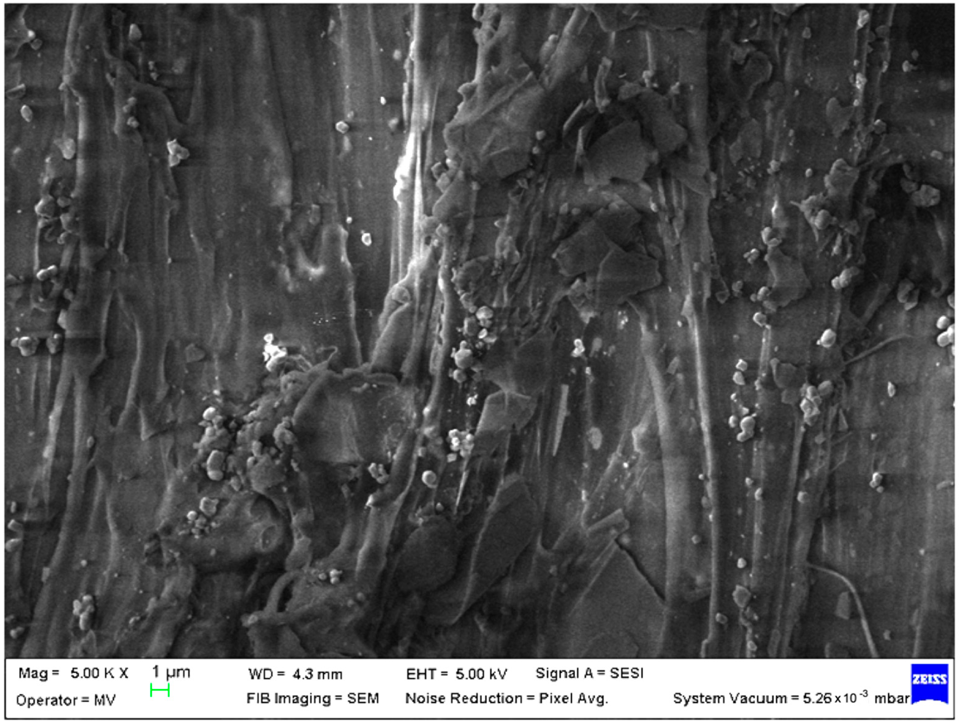 Polymers 15 00776 g003 Polymers 15 00776 g003