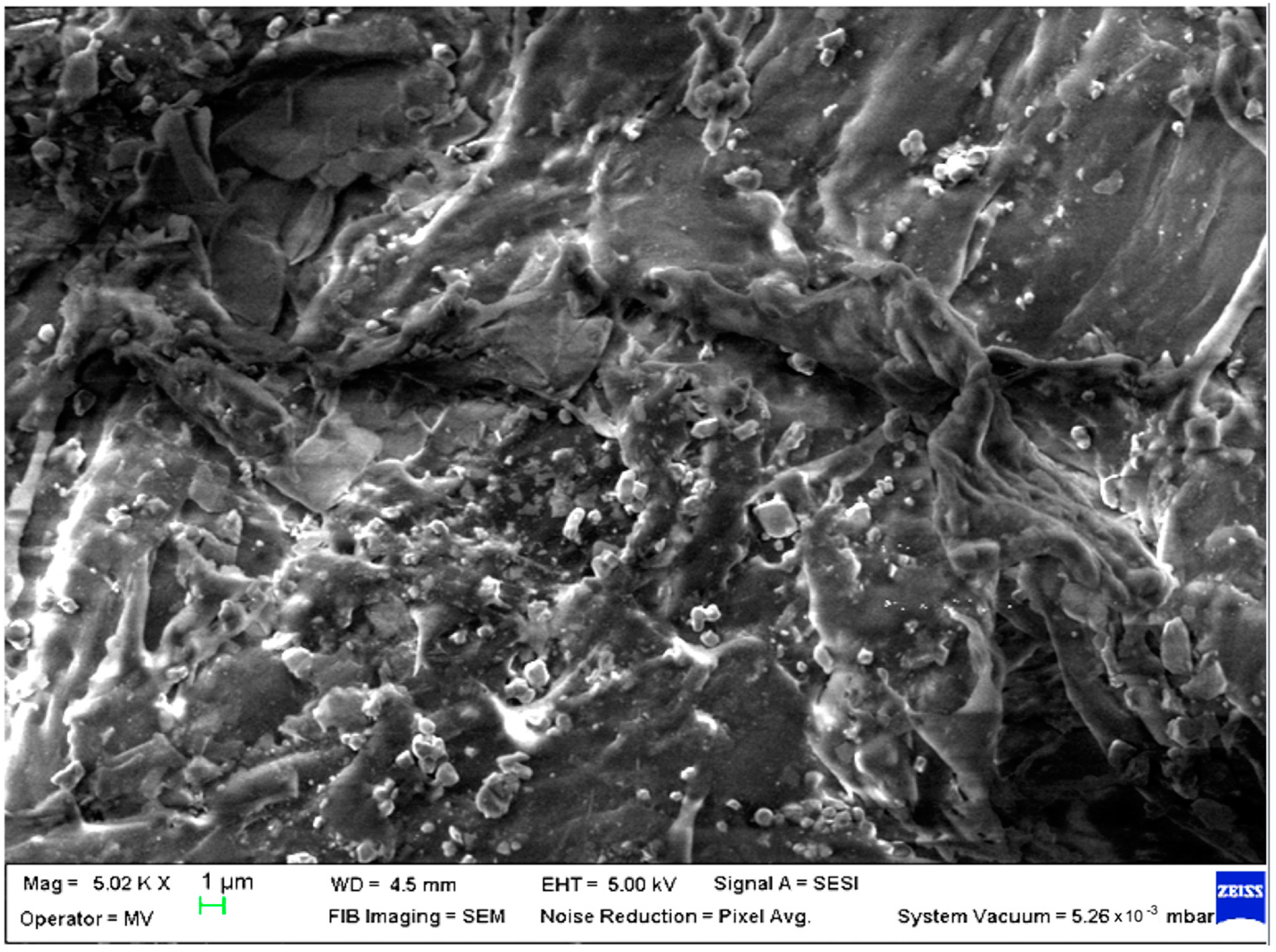 Polymers 15 00776 g004 Polymers 15 00776 g004