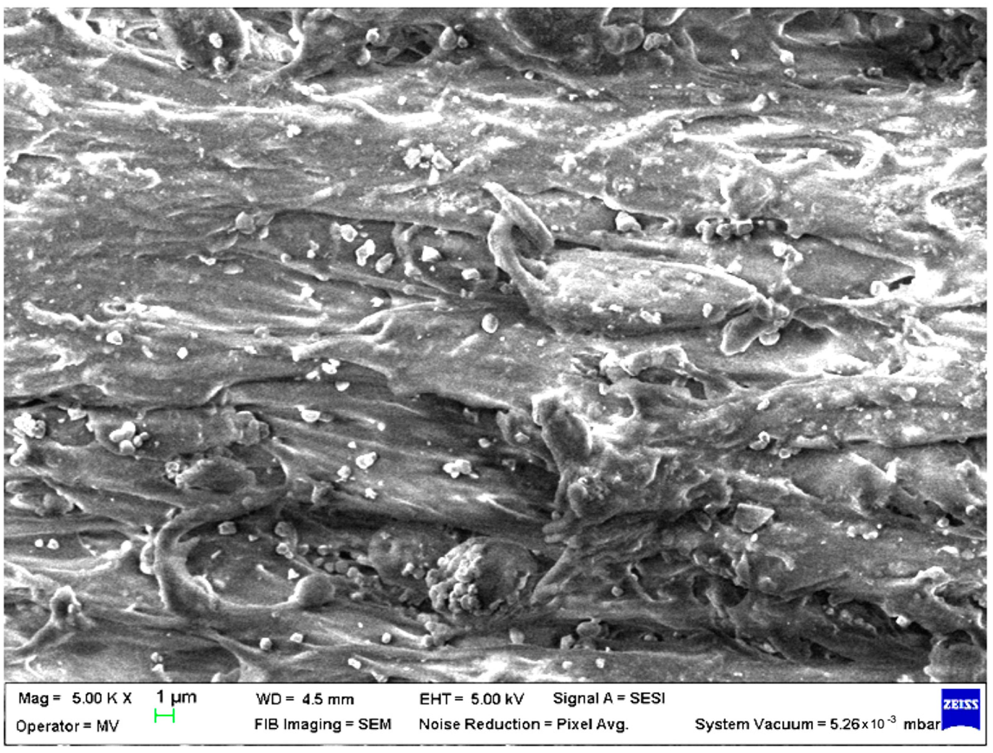 Polymers 15 00776 g005 Polymers 15 00776 g005