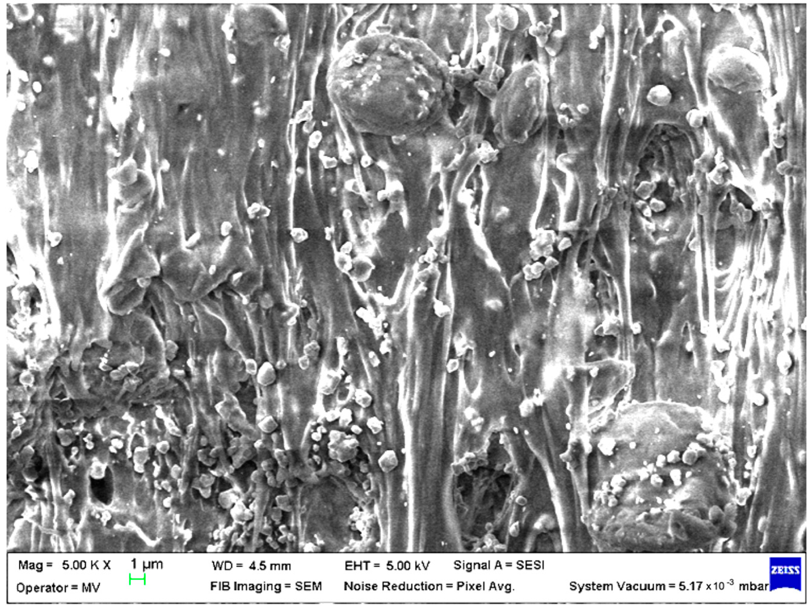 Polymers 15 00776 g006 Polymers 15 00776 g006