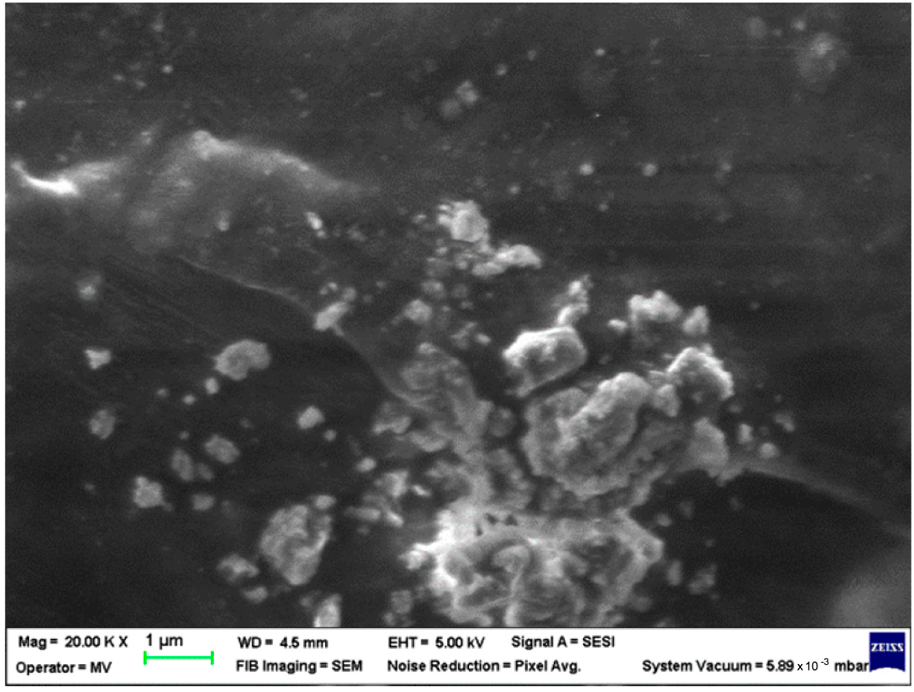 Polymers 15 00776 g007 Polymers 15 00776 g007