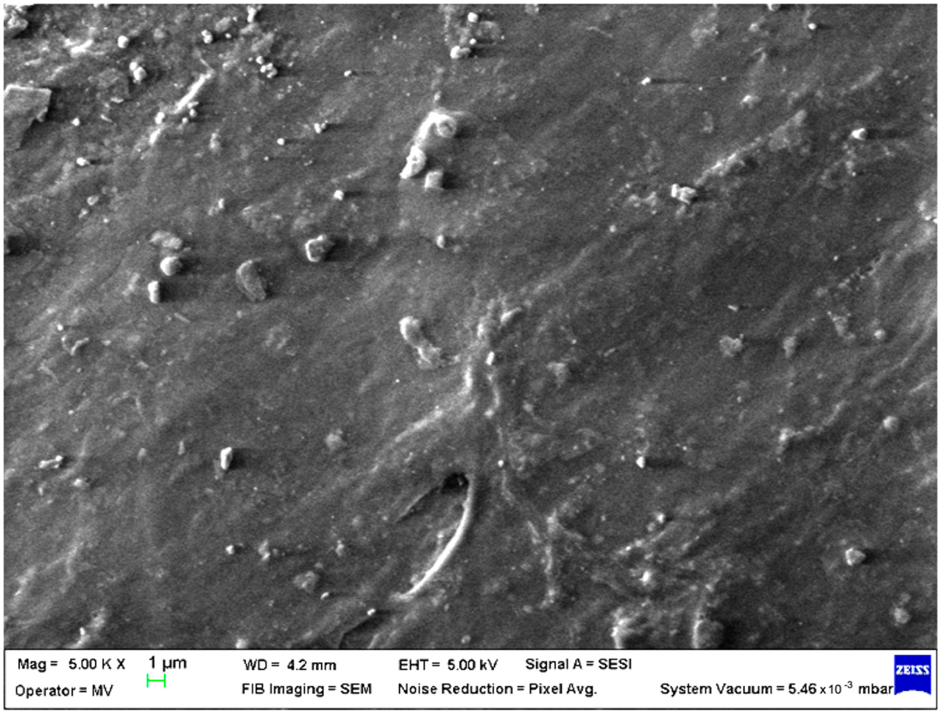 Polymers 15 00776 g008 Polymers 15 00776 g008