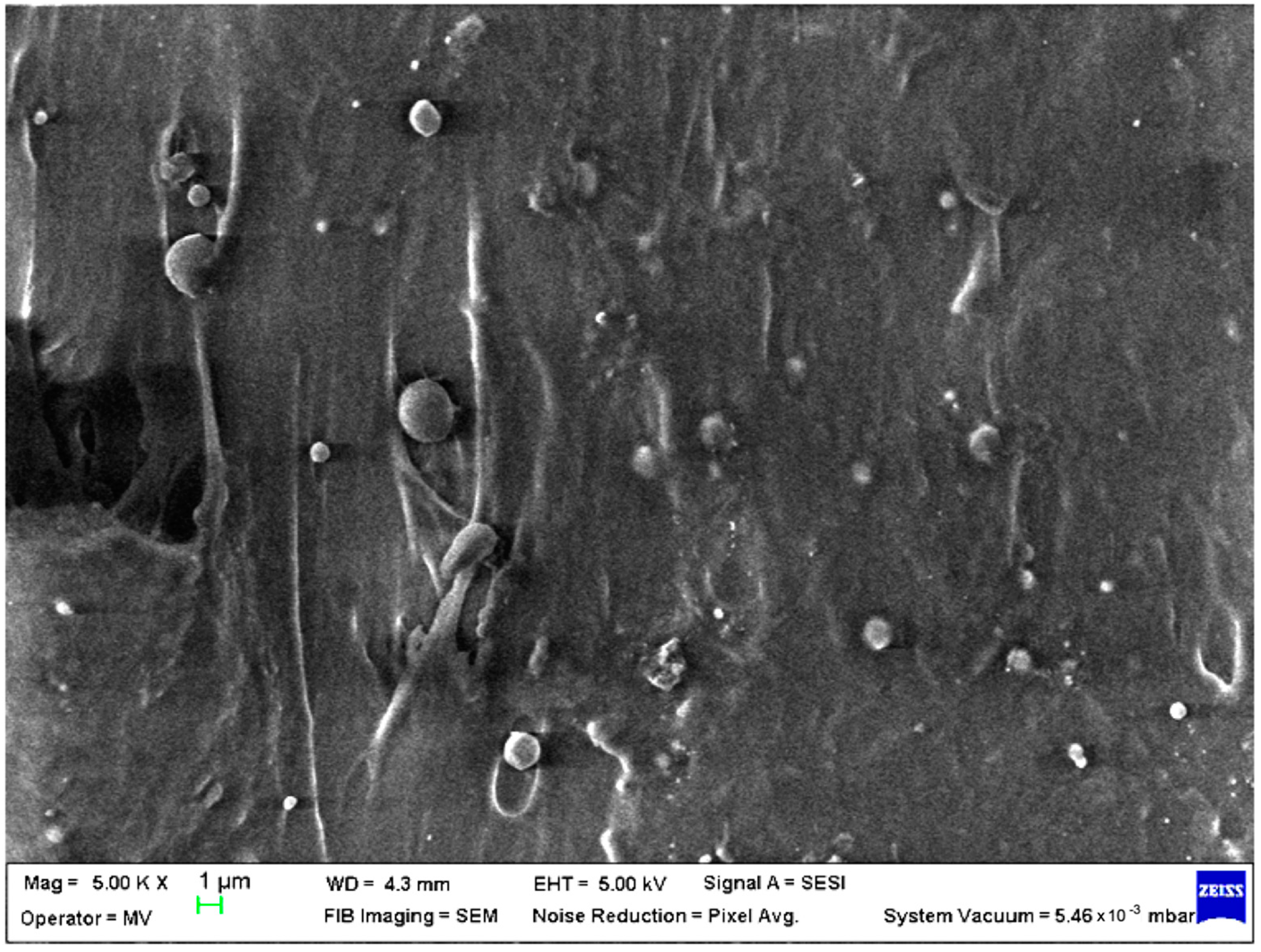 Polymers 15 00776 g009 Polymers 15 00776 g009
