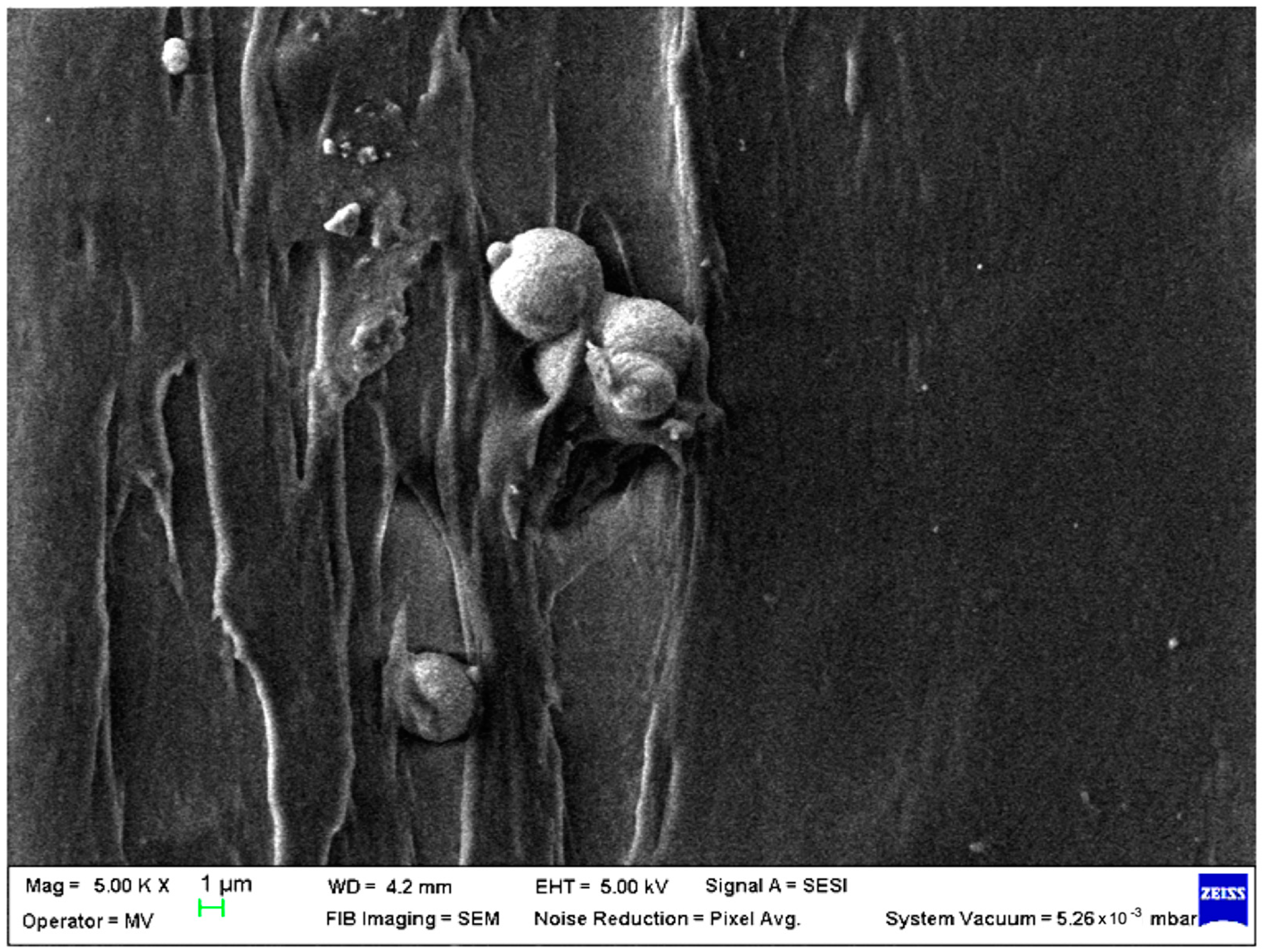 Polymers 15 00776 g010 Polymers 15 00776 g010