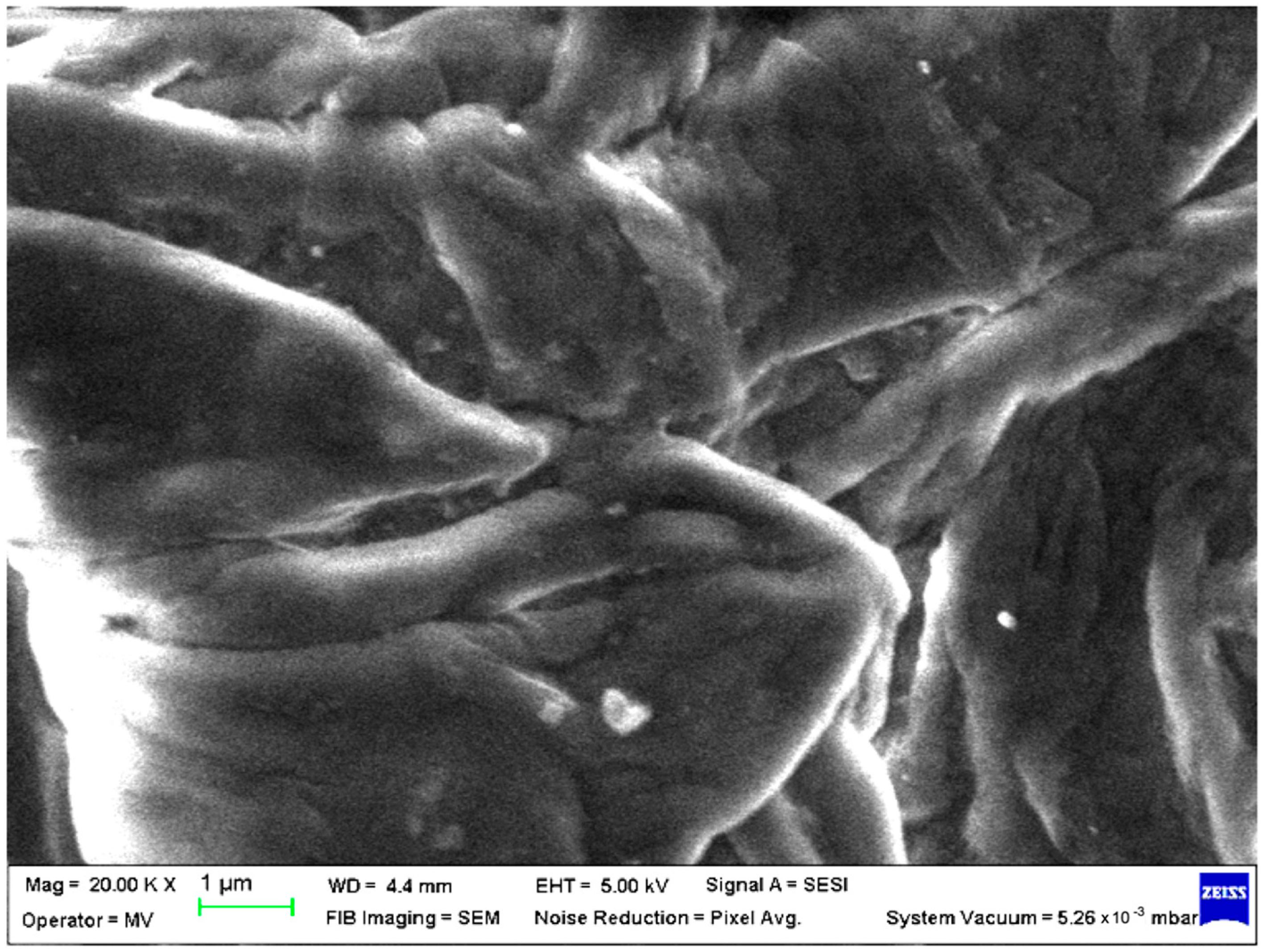 Polymers 15 00776 g012 Polymers 15 00776 g012
