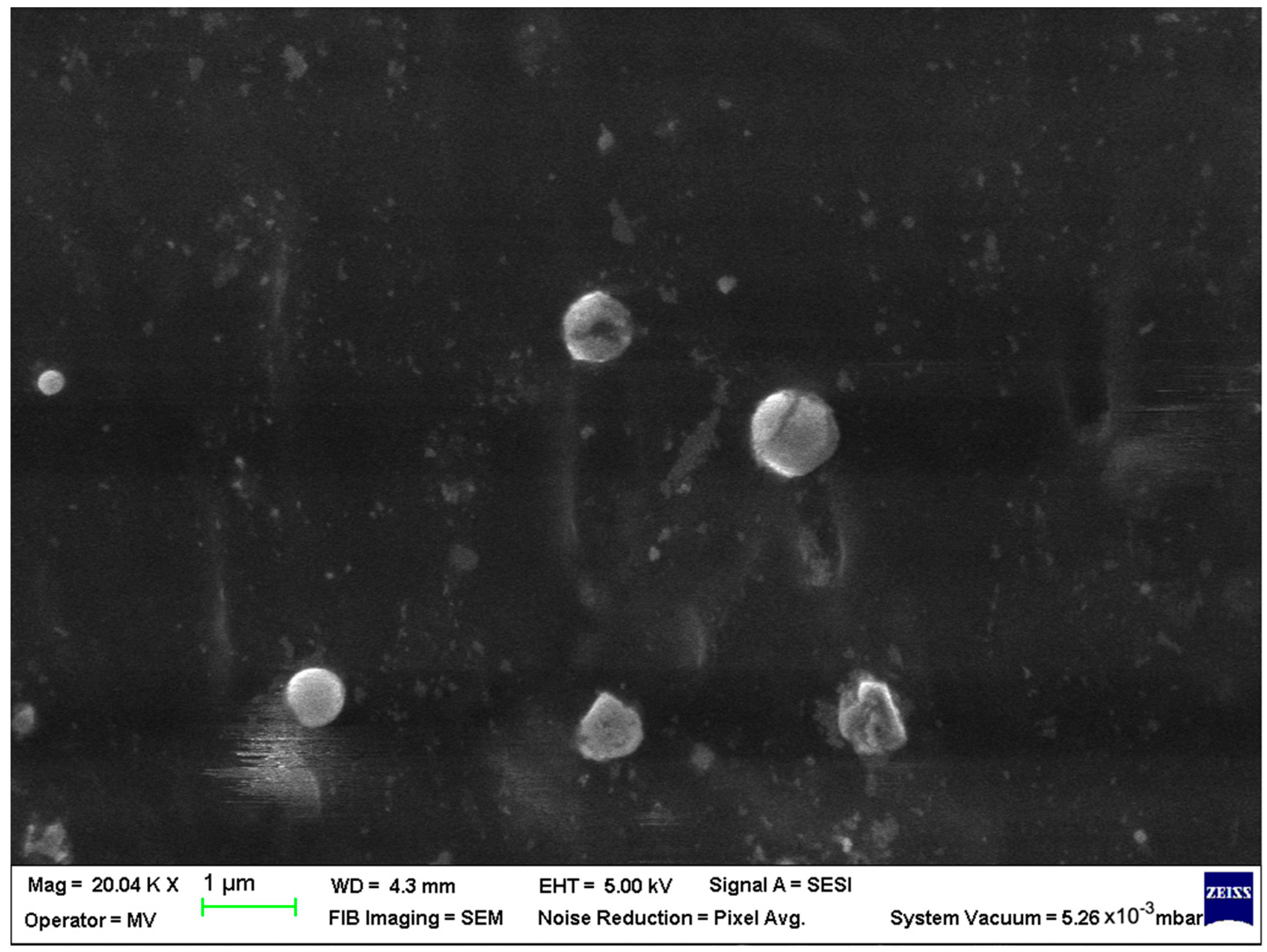 Polymers 15 00776 g014 Polymers 15 00776 g014
