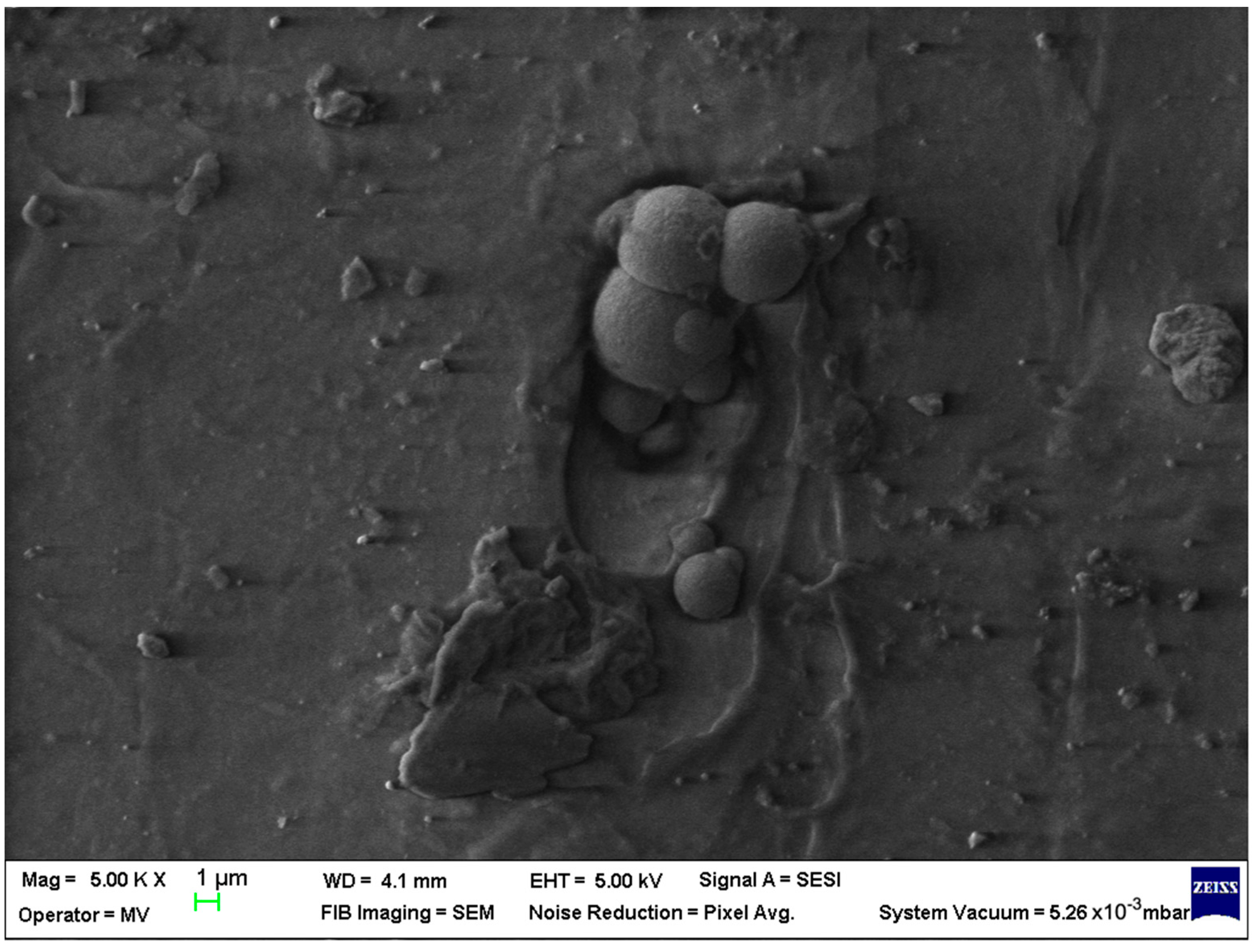 Polymers 15 00776 g015 Polymers 15 00776 g015
