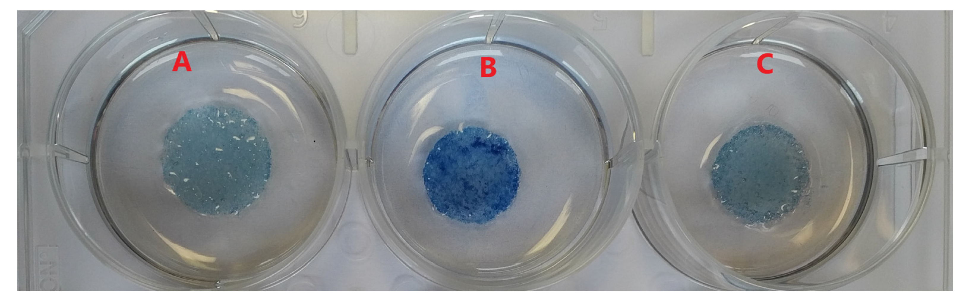 Polymers 15 00777 g002 Polymers 15 00777 g002