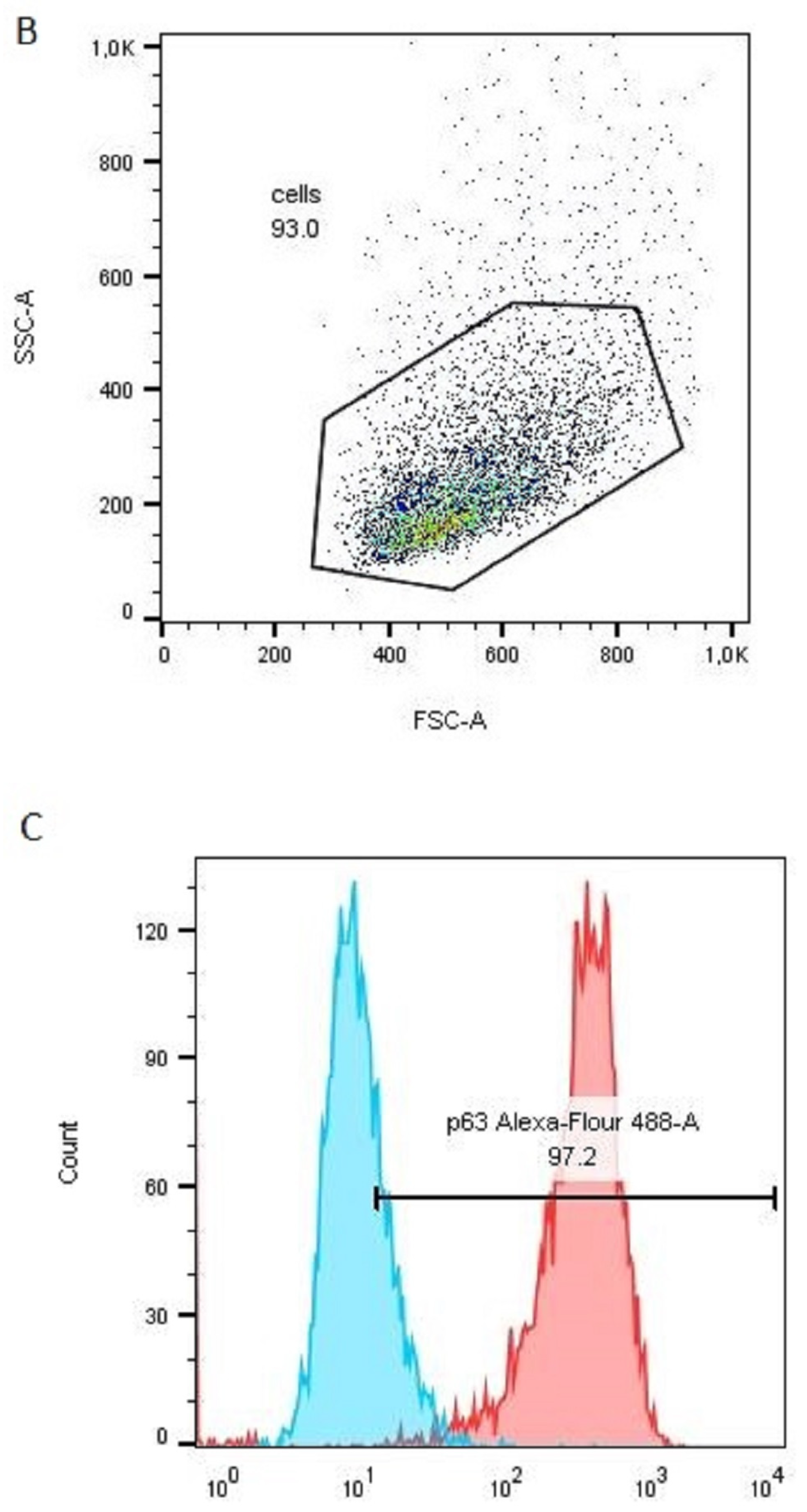 Polymers 15 00777 g012b Polymers 15 00777 g012b