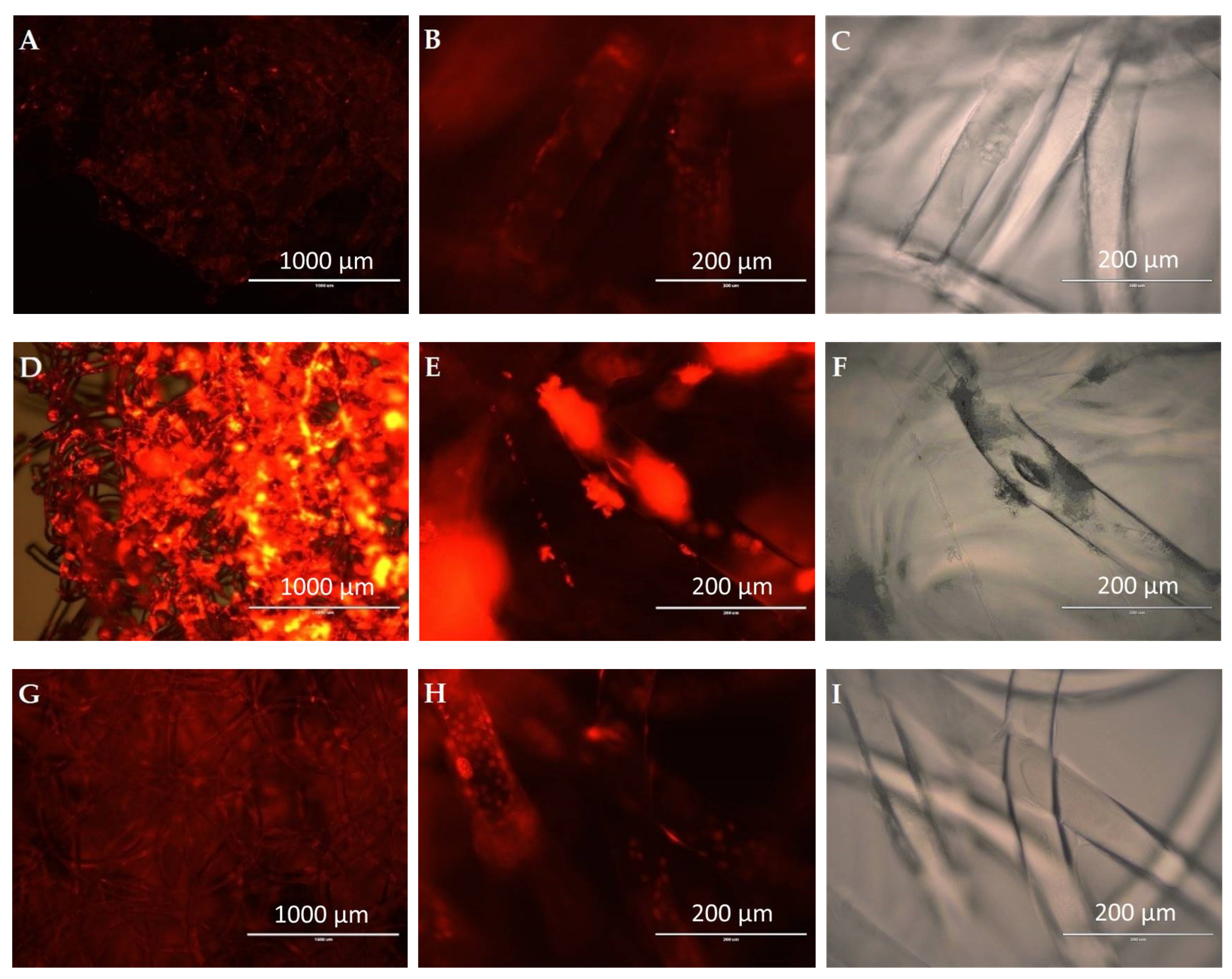 Polymers 15 00777 g013 Polymers 15 00777 g013