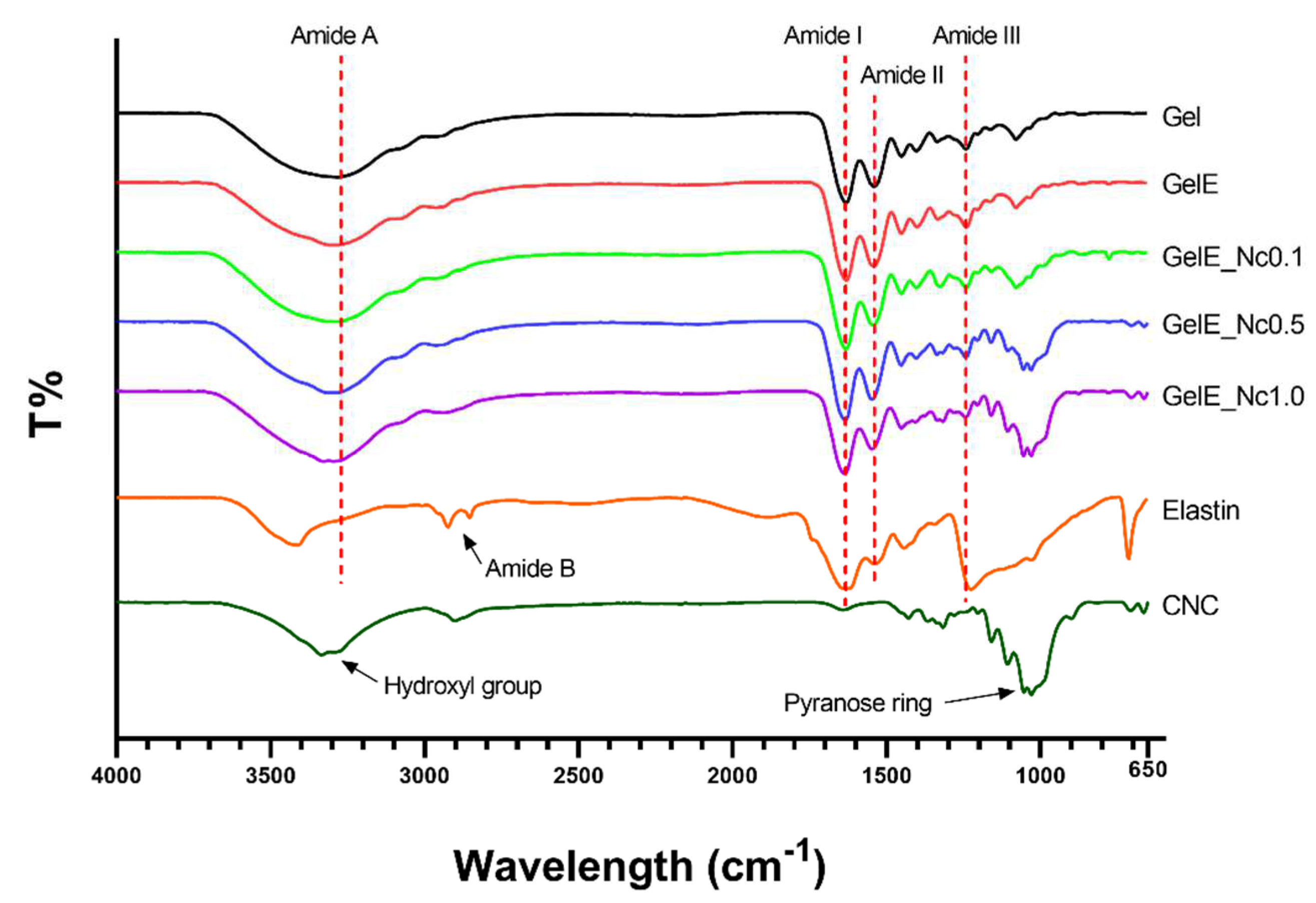 Polymers 15 00779 g003