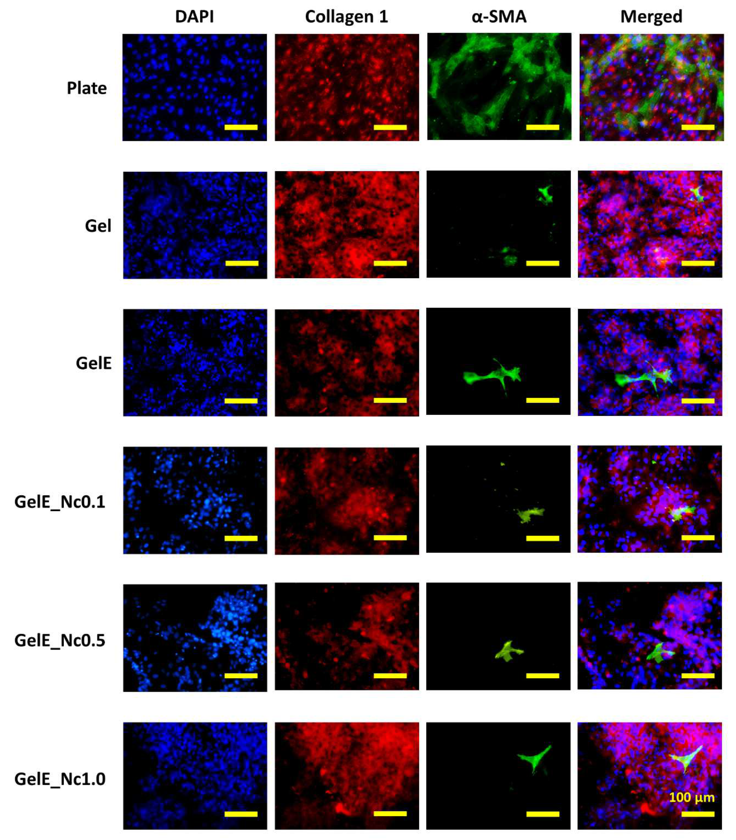 Polymers 15 00779 g006