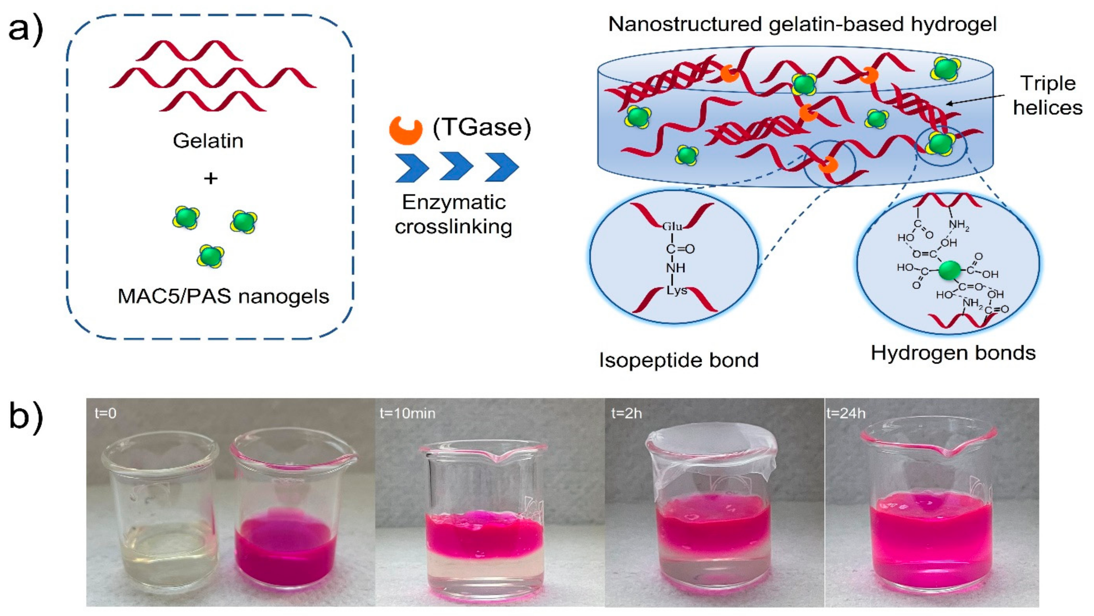 Polymers 15 00780 g004 550