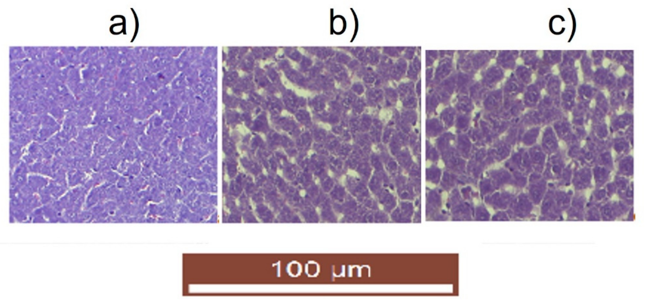 Polymers 15 00780 g013 550