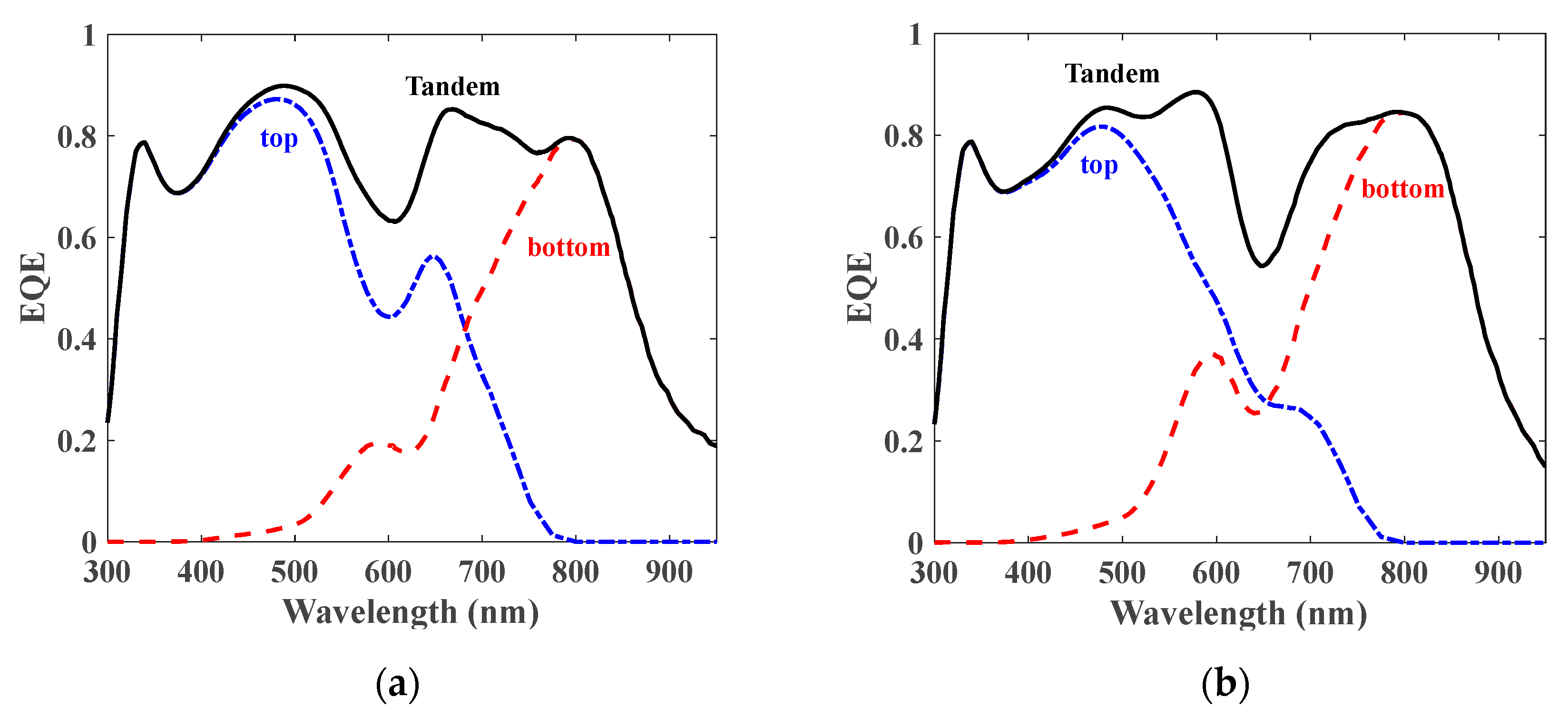 Polymers 15 00784 g008