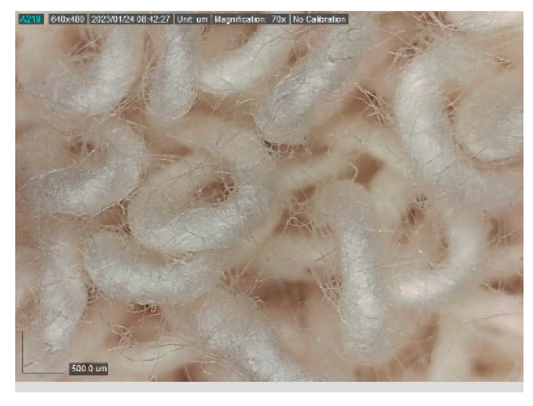 Polymers 15 00785 i003