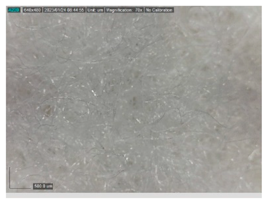 Polymers 15 00785 i004