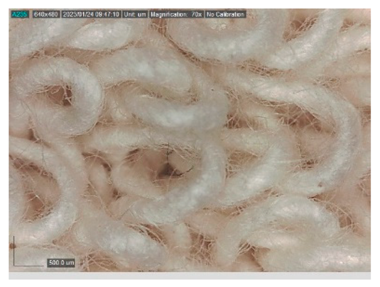 Polymers 15 00785 i006