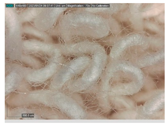 Polymers 15 00785 i009