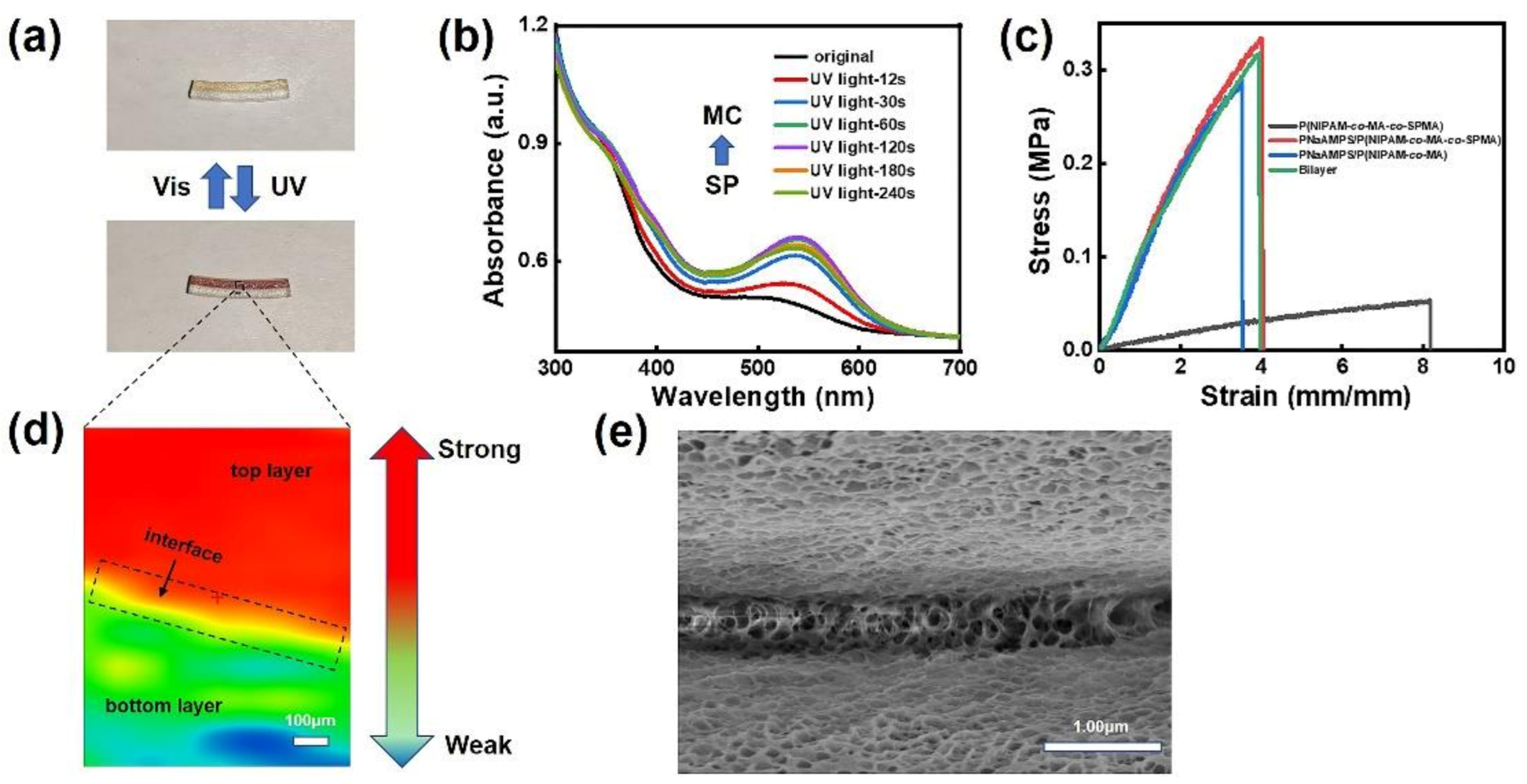 Polymers 15 00786 g001