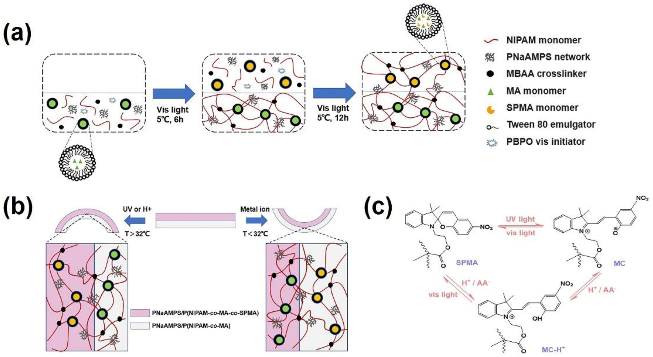 Polymers 15 00786 sch001