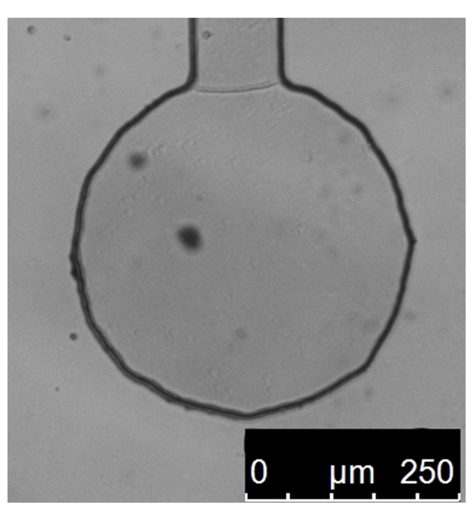 Polymers 15 00787 g004 Polymers 15 00787 g004