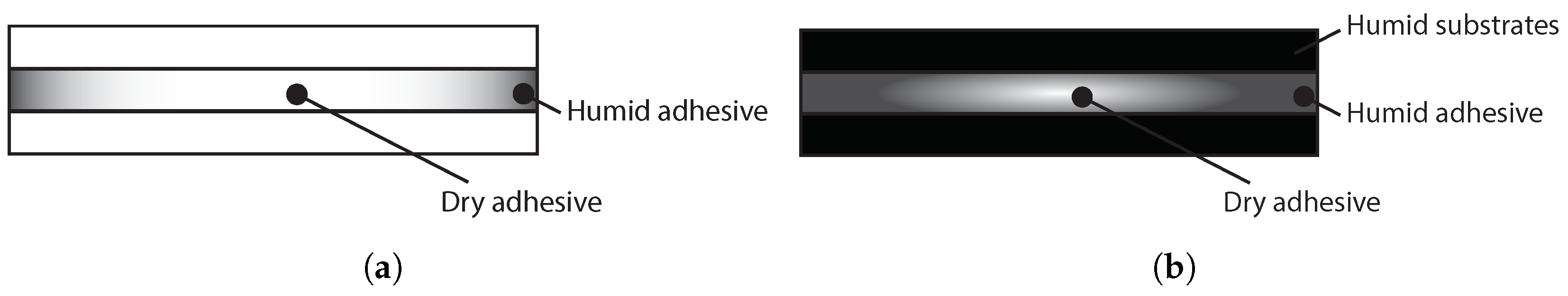 Polymers 15 00788 g012