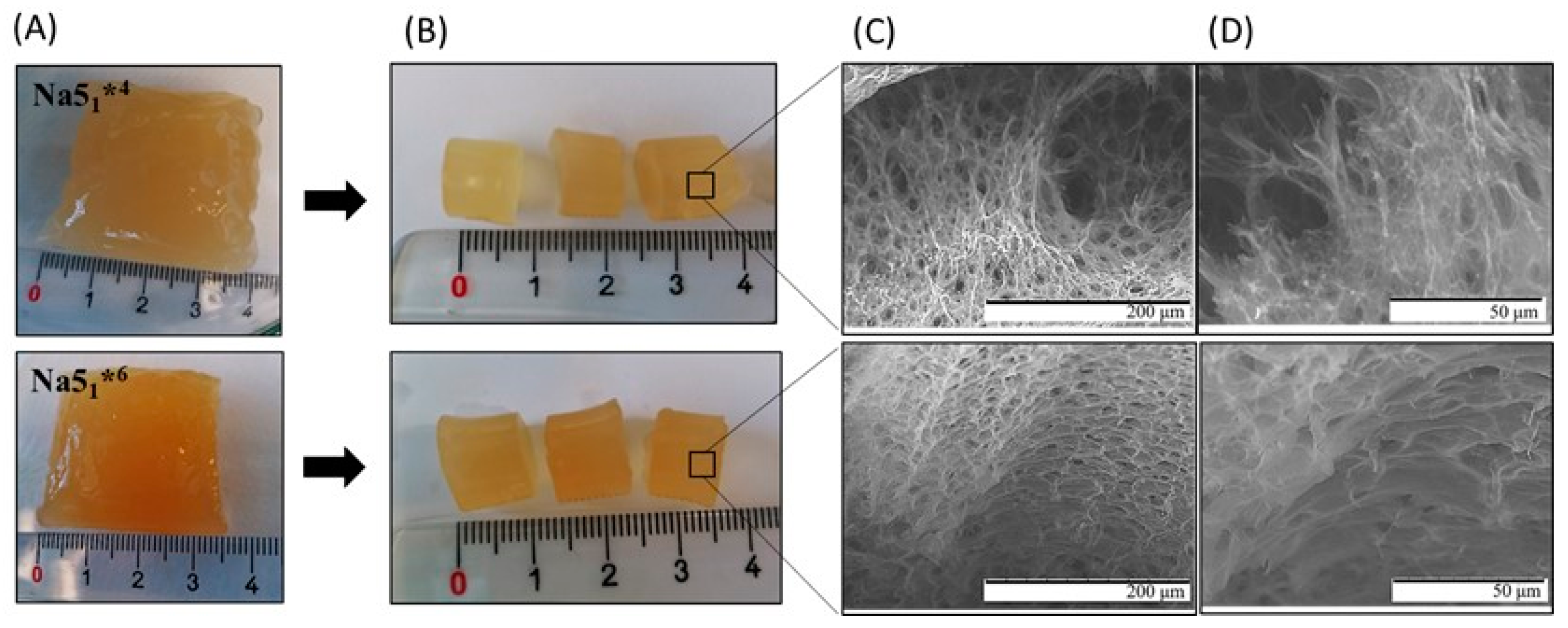Polymers 15 00791 g001