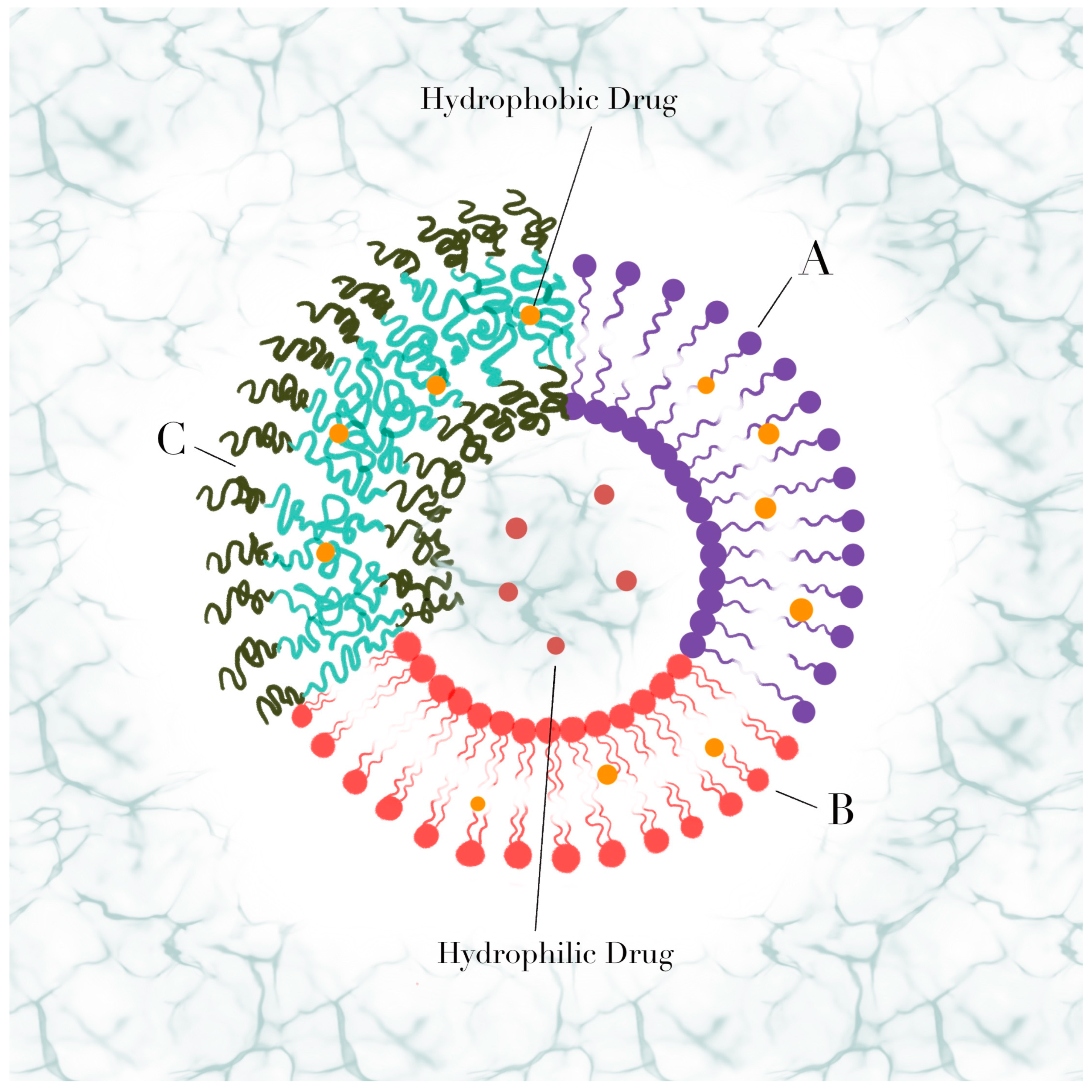 Polymers 15 00795 g001 Polymers 15 00795 g001