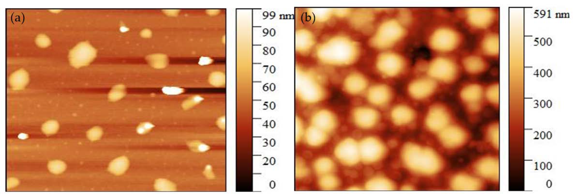 Polymers 15 00797 g005 550