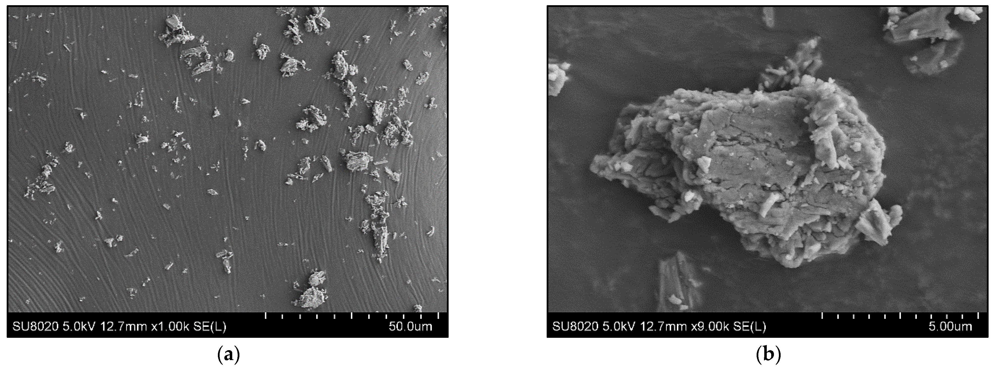 Polymers 15 00799 g002