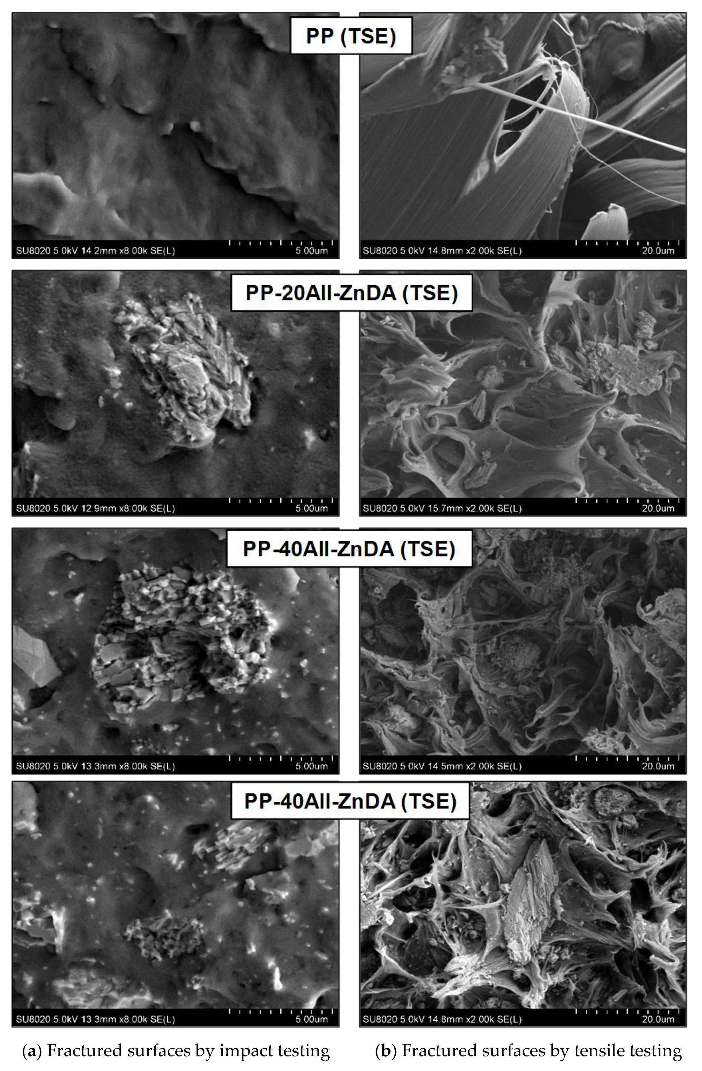 Polymers 15 00799 g011
