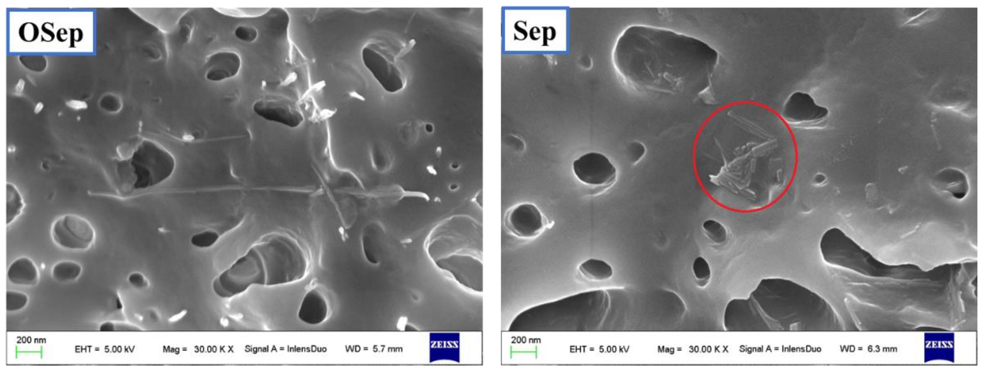 Polymers 15 00802 g003 550