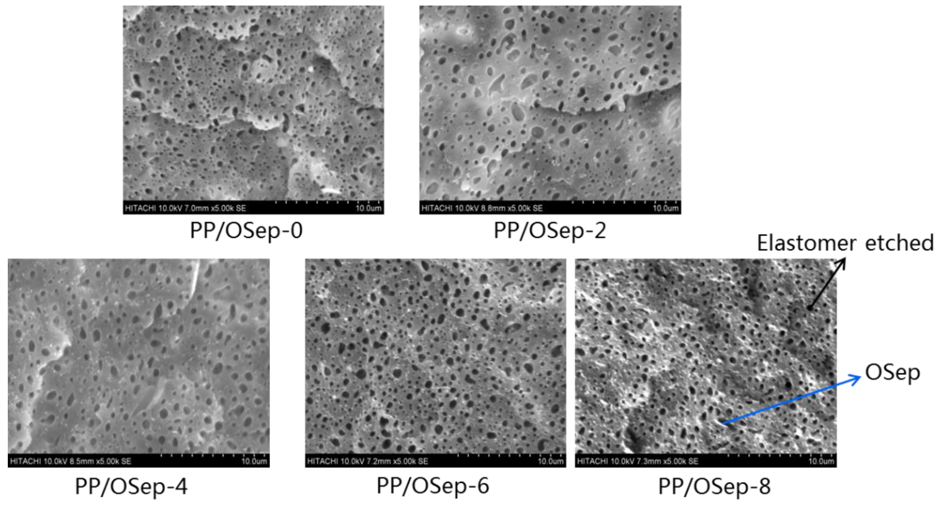 Polymers 15 00802 g004 550