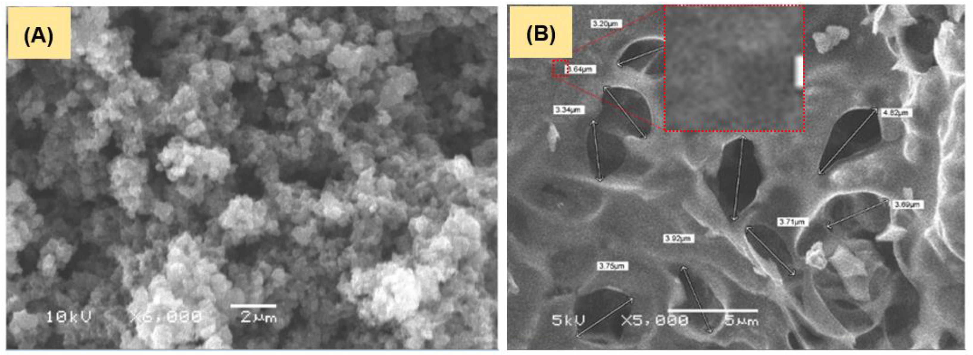 Polymers 15 00806 g003