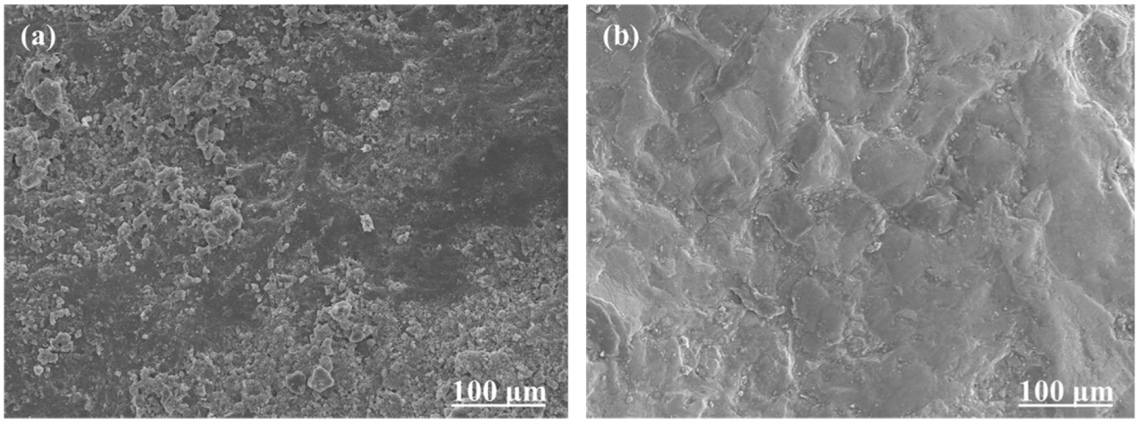 Polymers 15 00807 g005