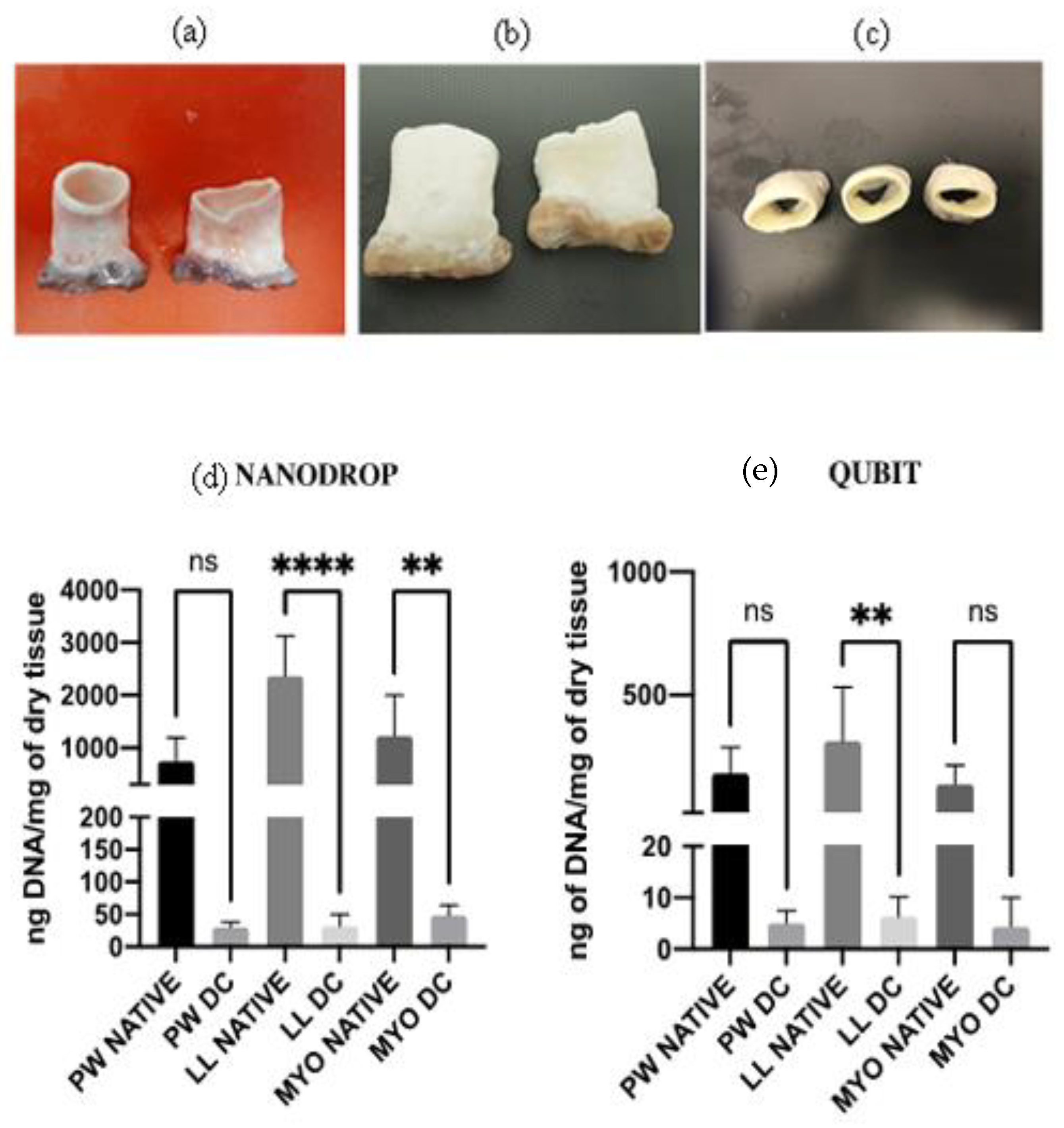 Polymers 15 00819 g001