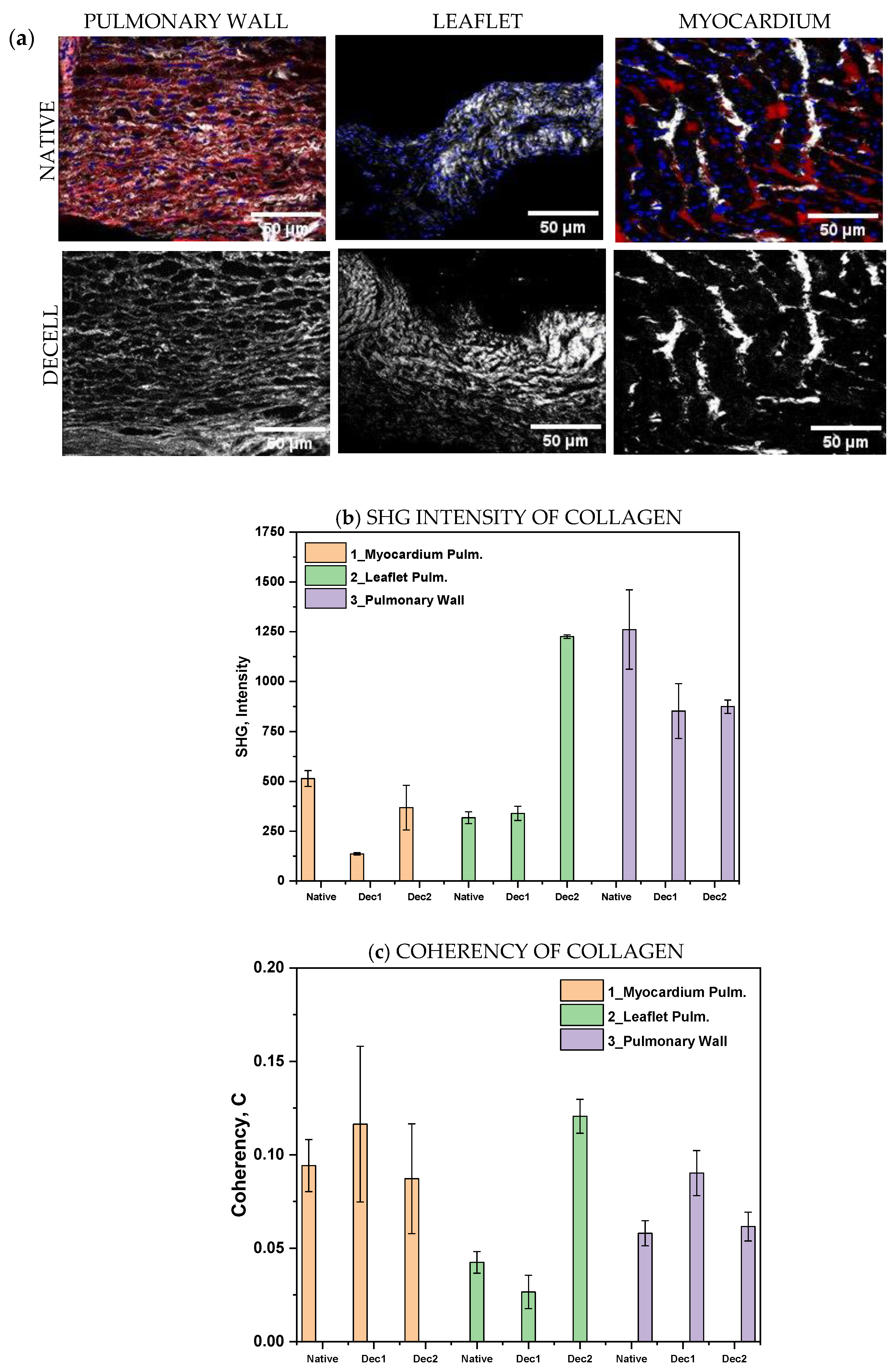 Polymers 15 00819 g004