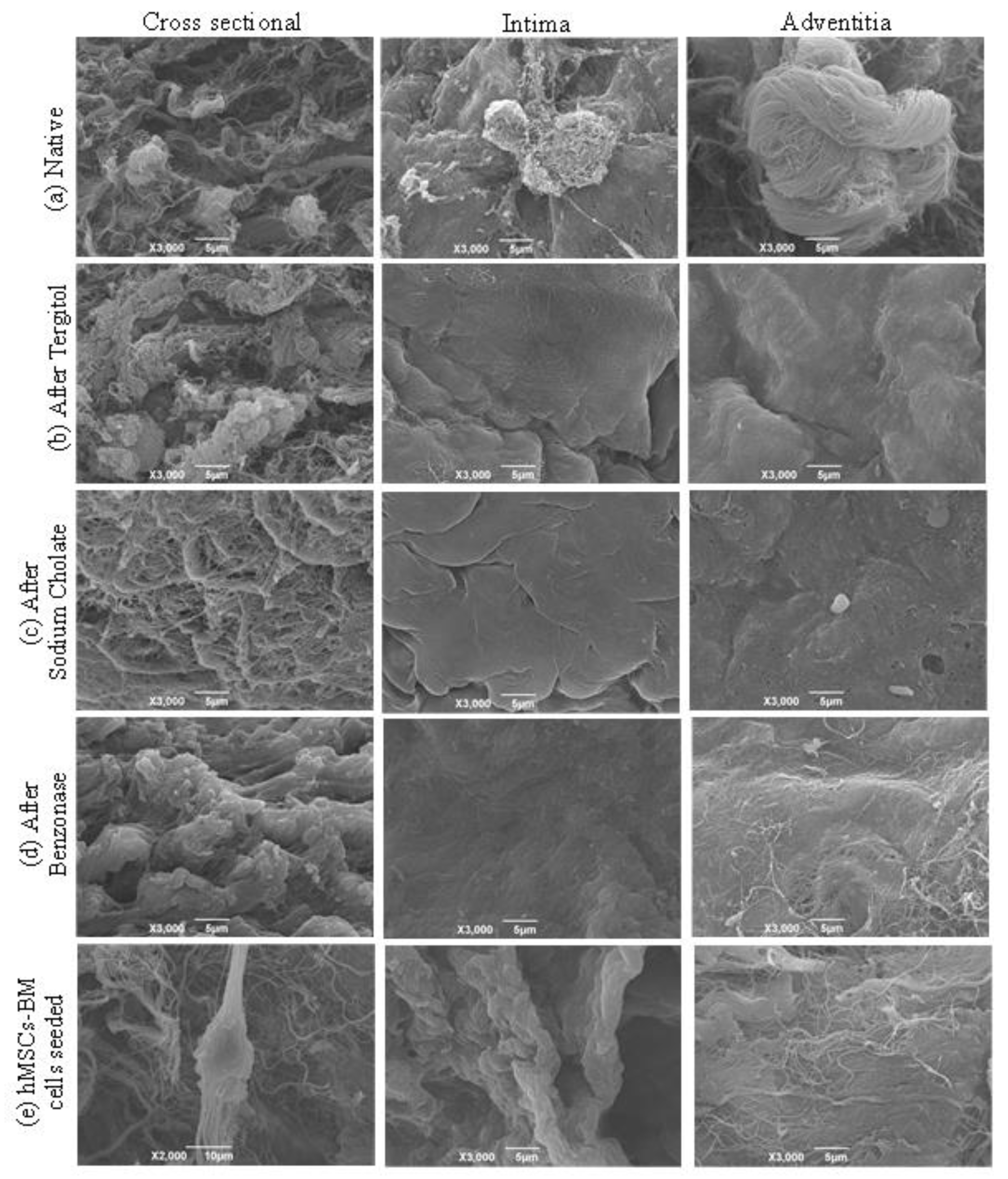 Polymers 15 00819 g007