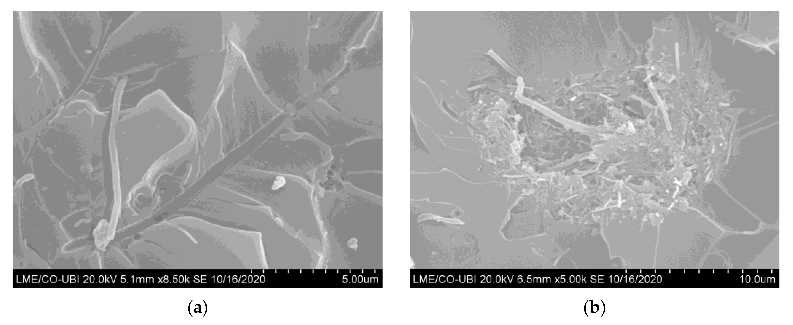 Polymers 15 00821 g005