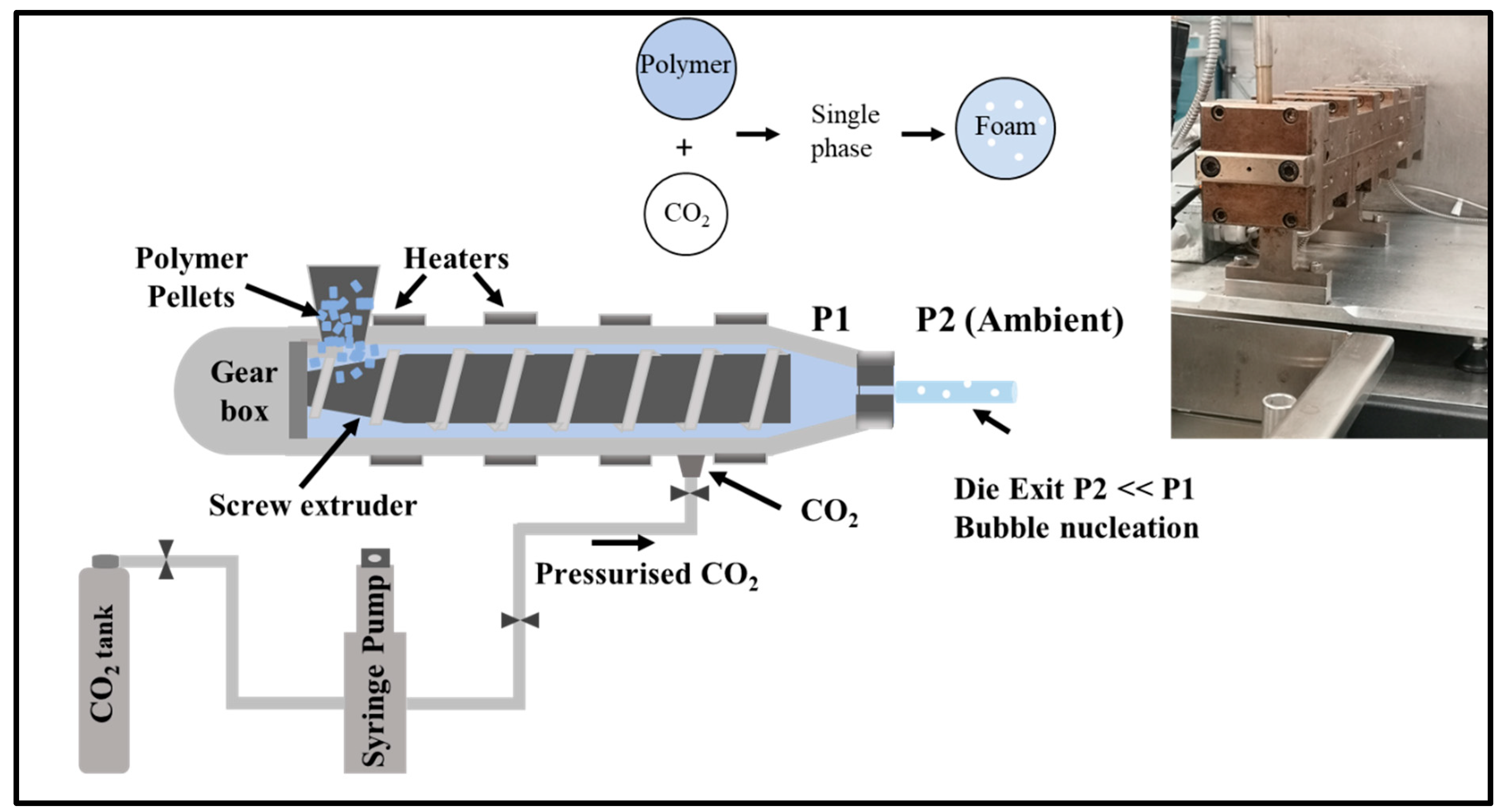 Polymers 15 00822 g002 550