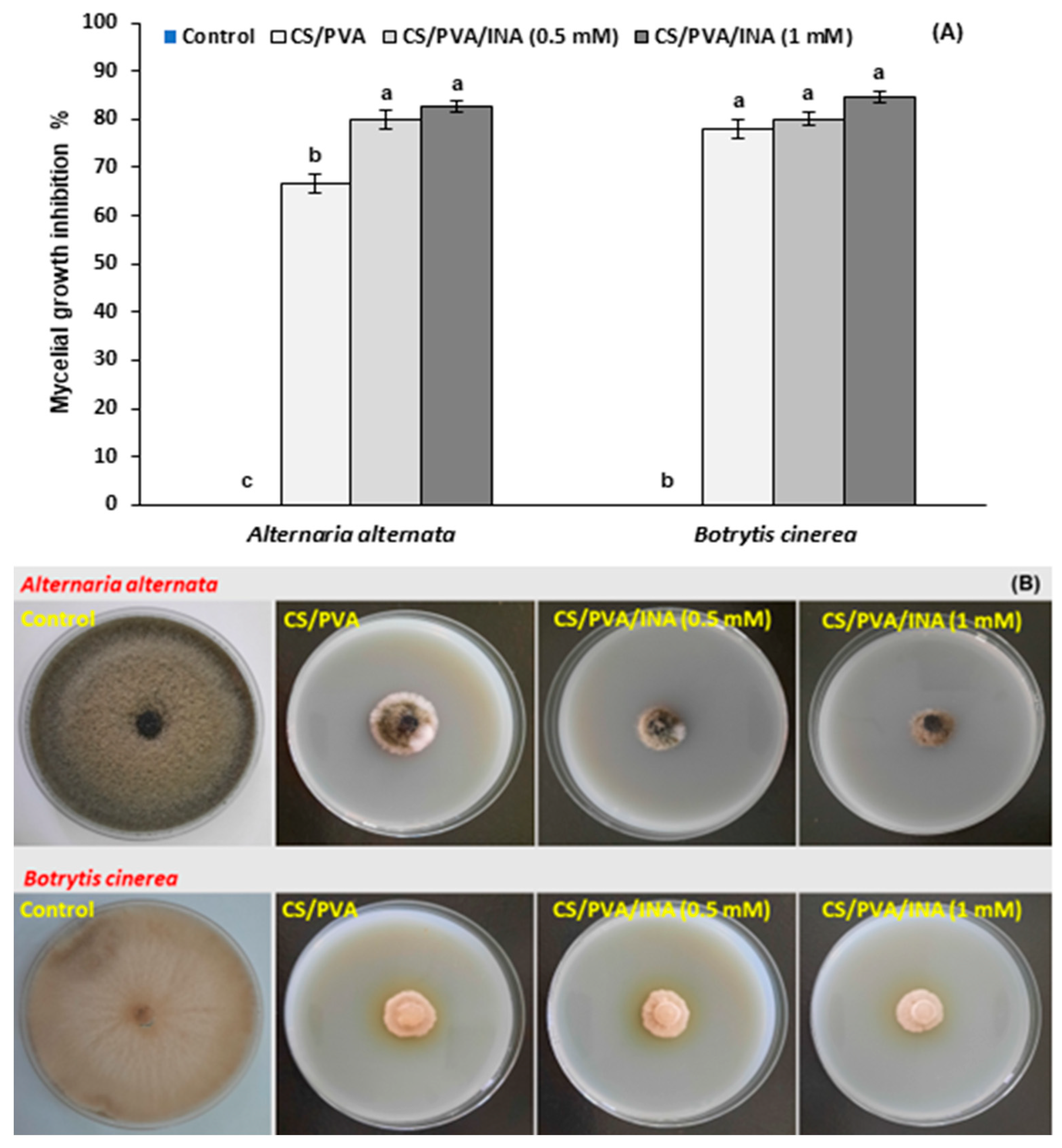 Polymers 15 00825 g004 Polymers 15 00825 g004