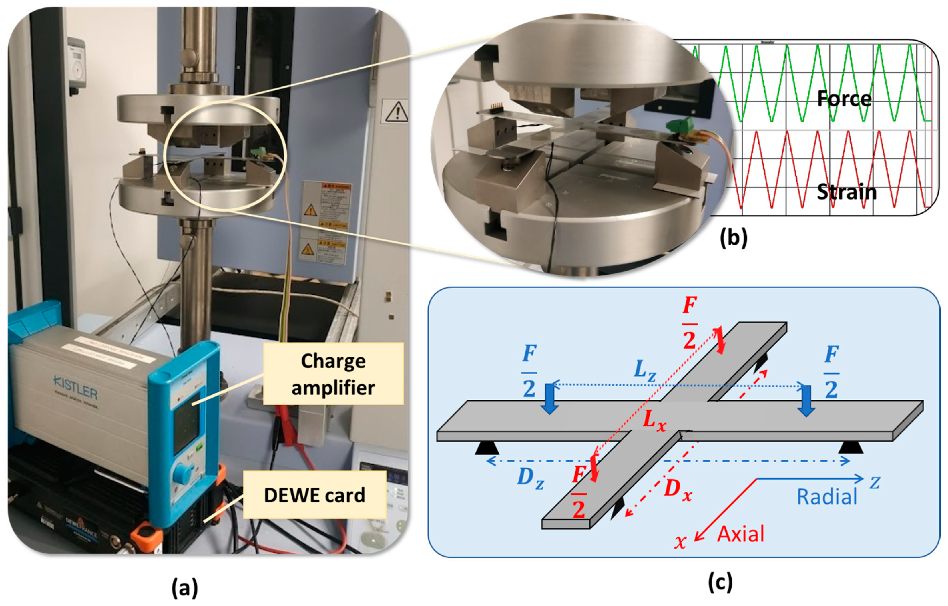 Polymers 15 00826 g004