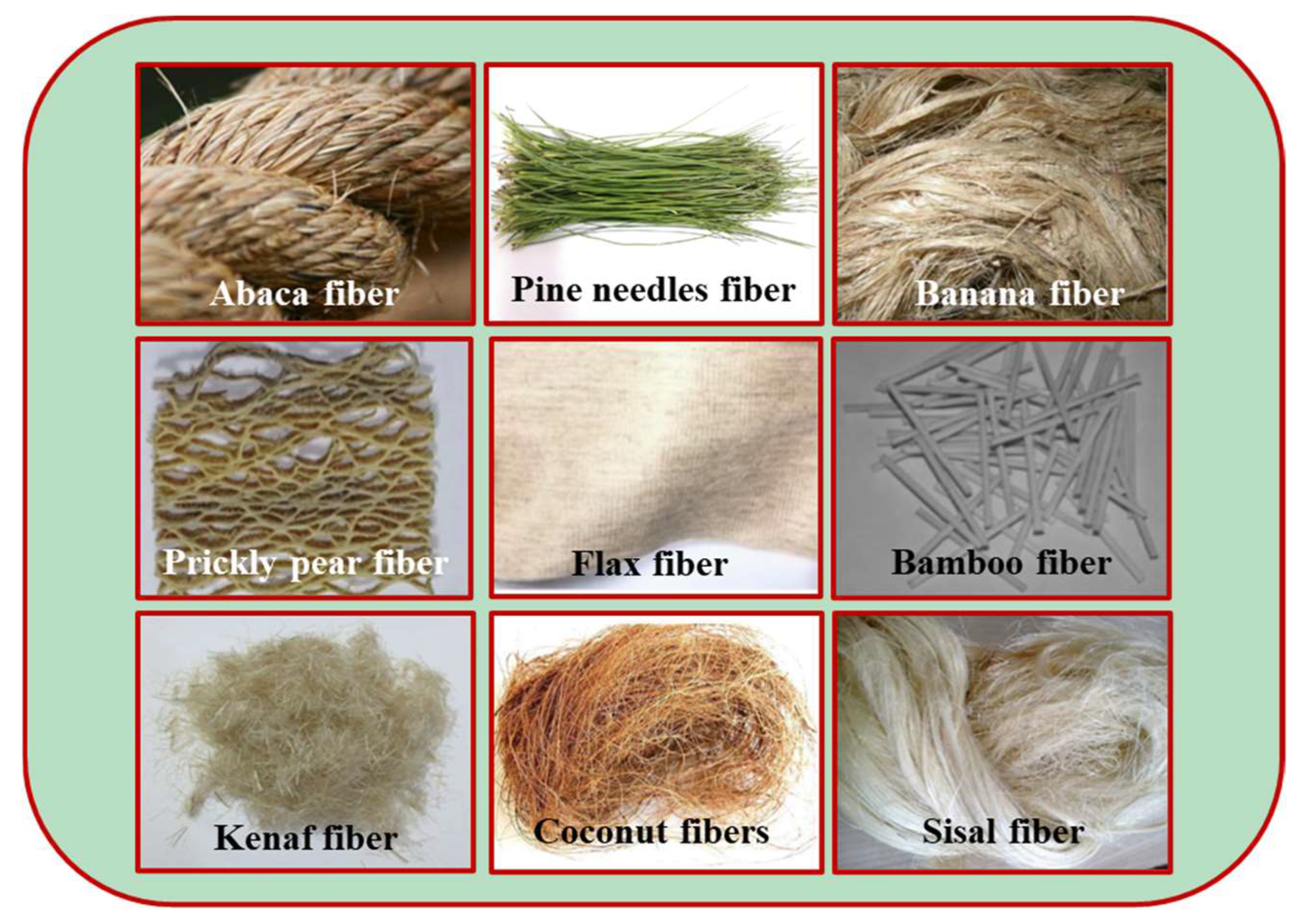 Polymers 15 00827 g009 550