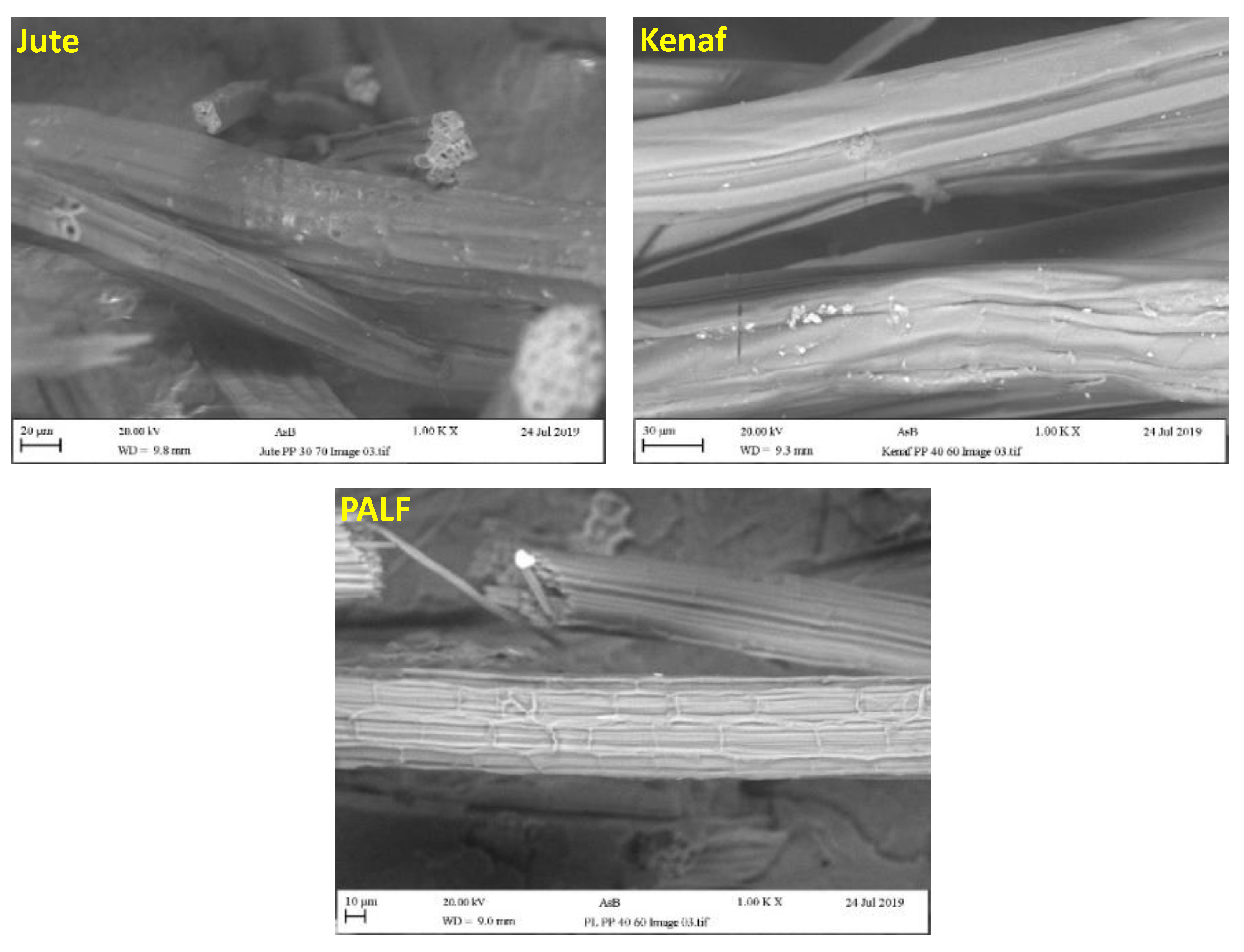 Polymers 15 00830 g001